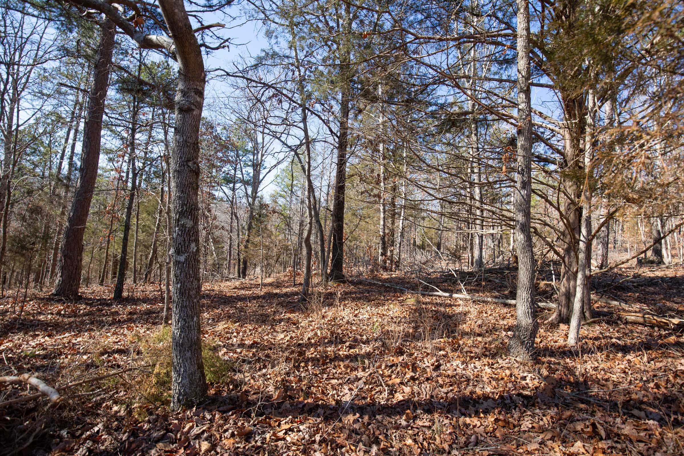 O’Connor Crossing Tract 7 photo 5