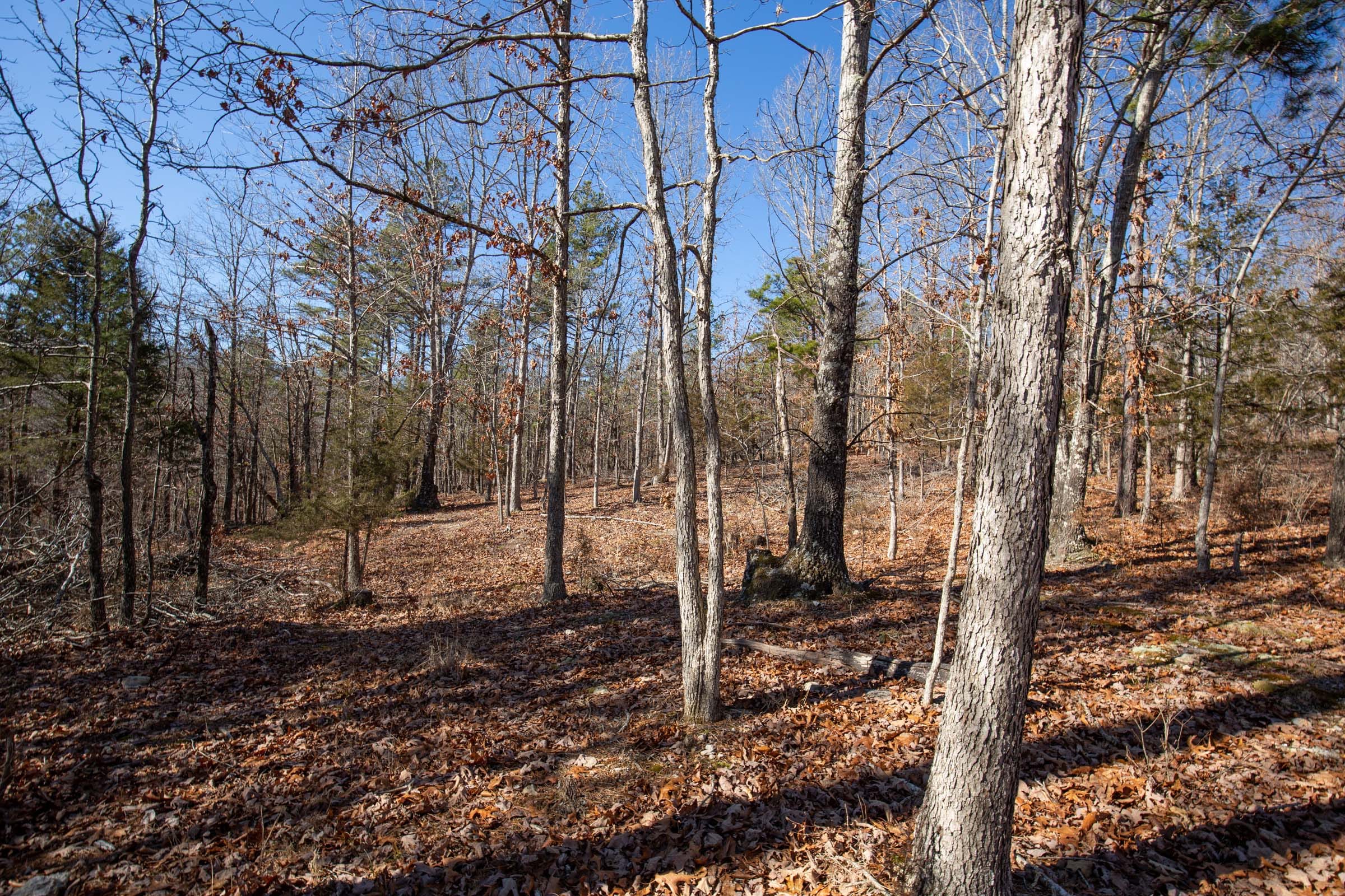 O’Connor Crossing Tract 7 photo 4