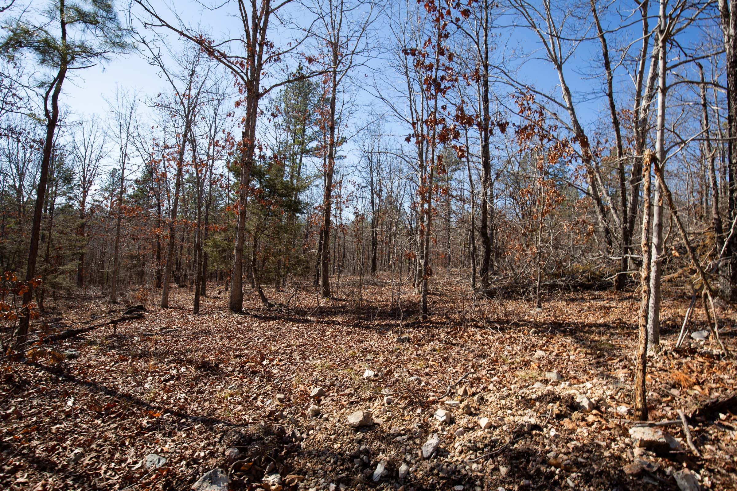 O’Connor Crossing Tract 7 photo 12