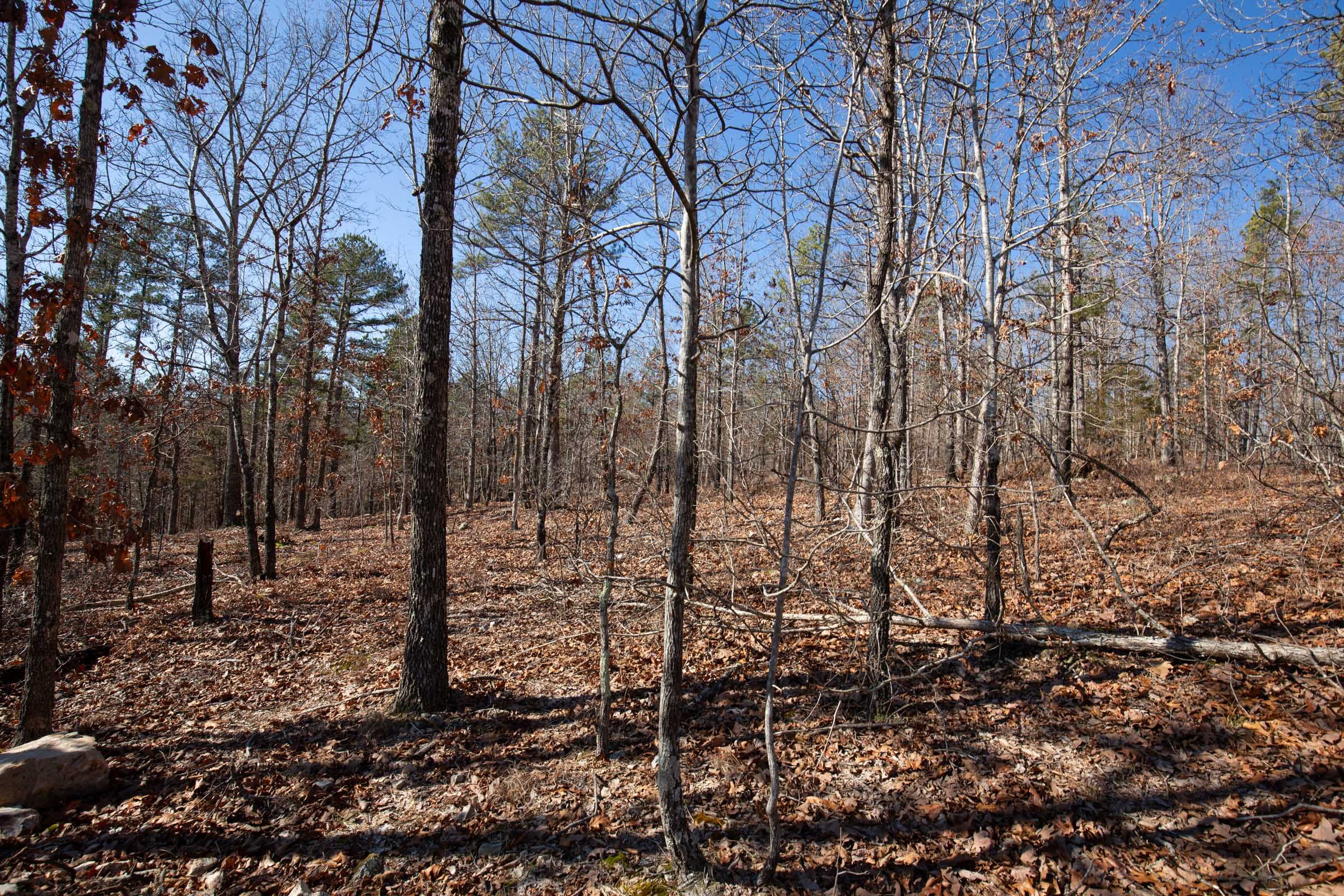 O’Connor Crossing Tract 7 photo 11
