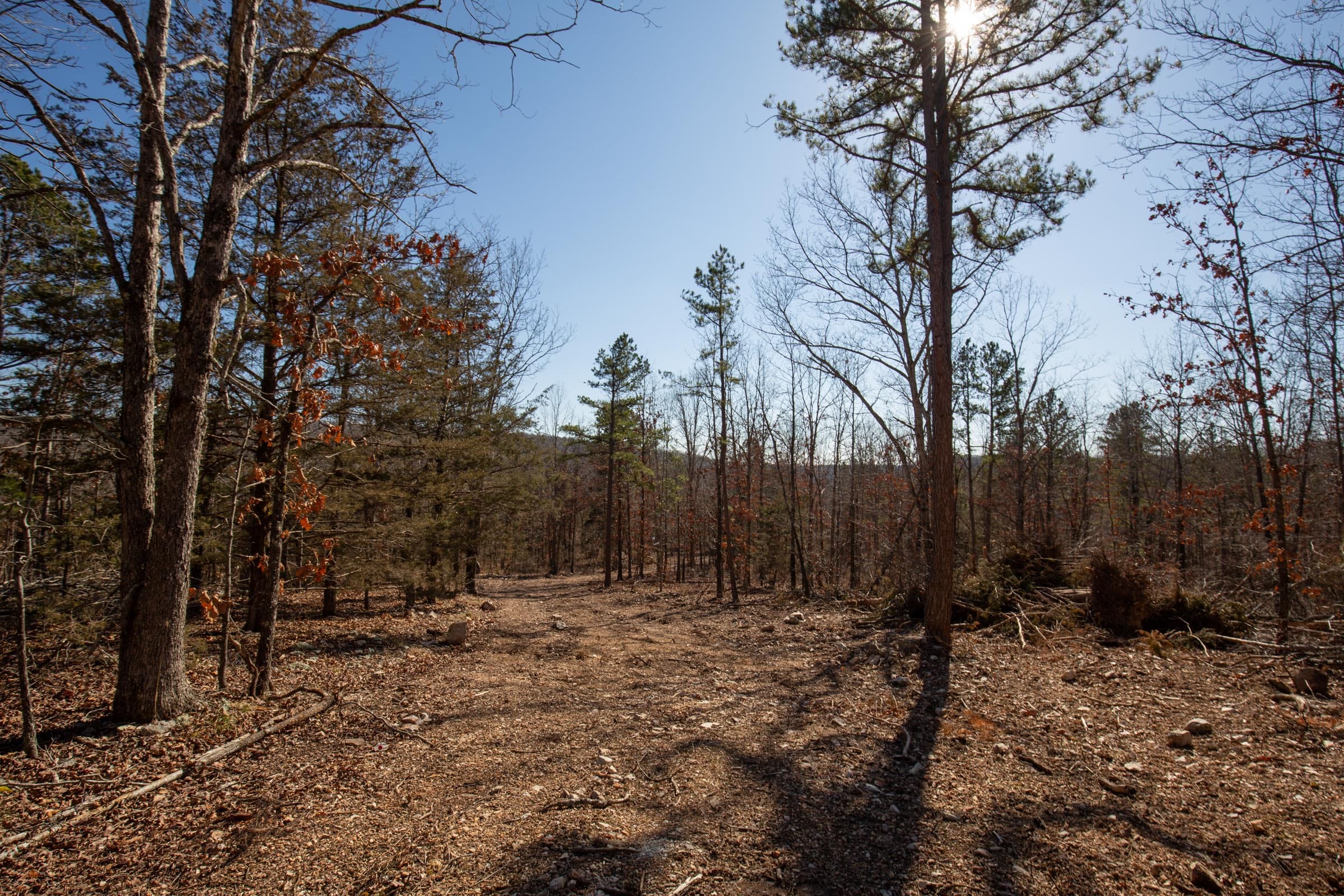 O’Connor Crossing Tract 7 photo 13