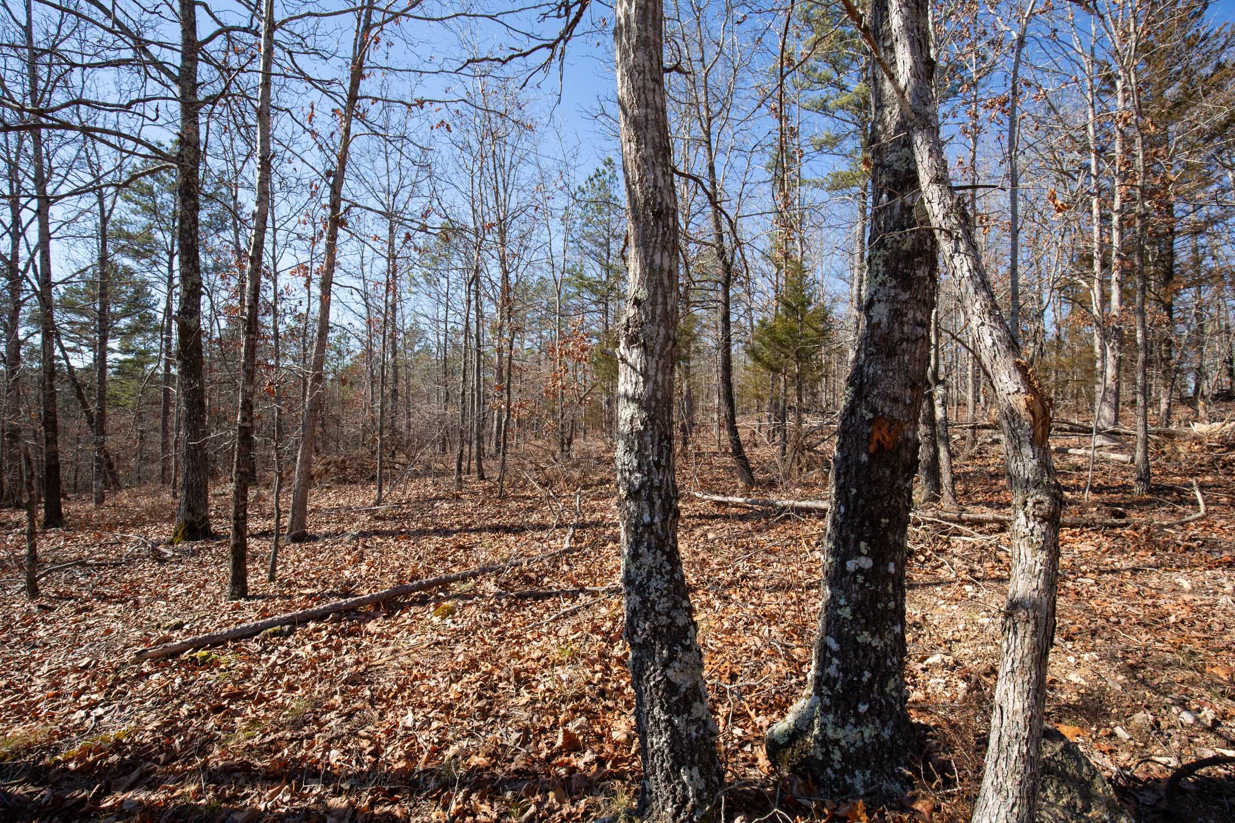 O’Connor Crossing Tract 7 photo 10