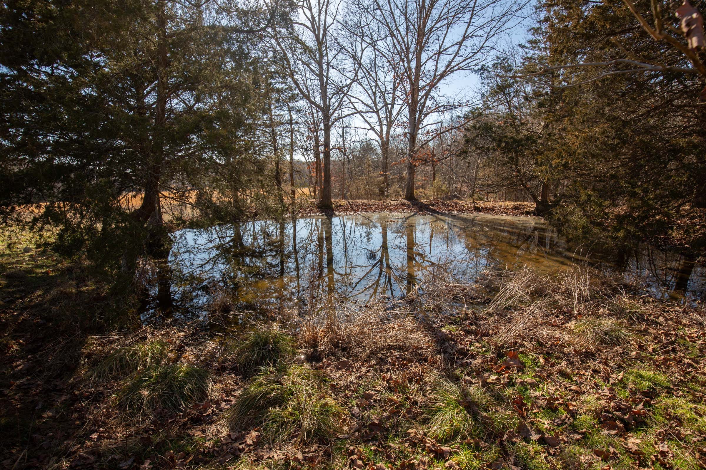 O’Connor Crossing Tract 7 photo 2