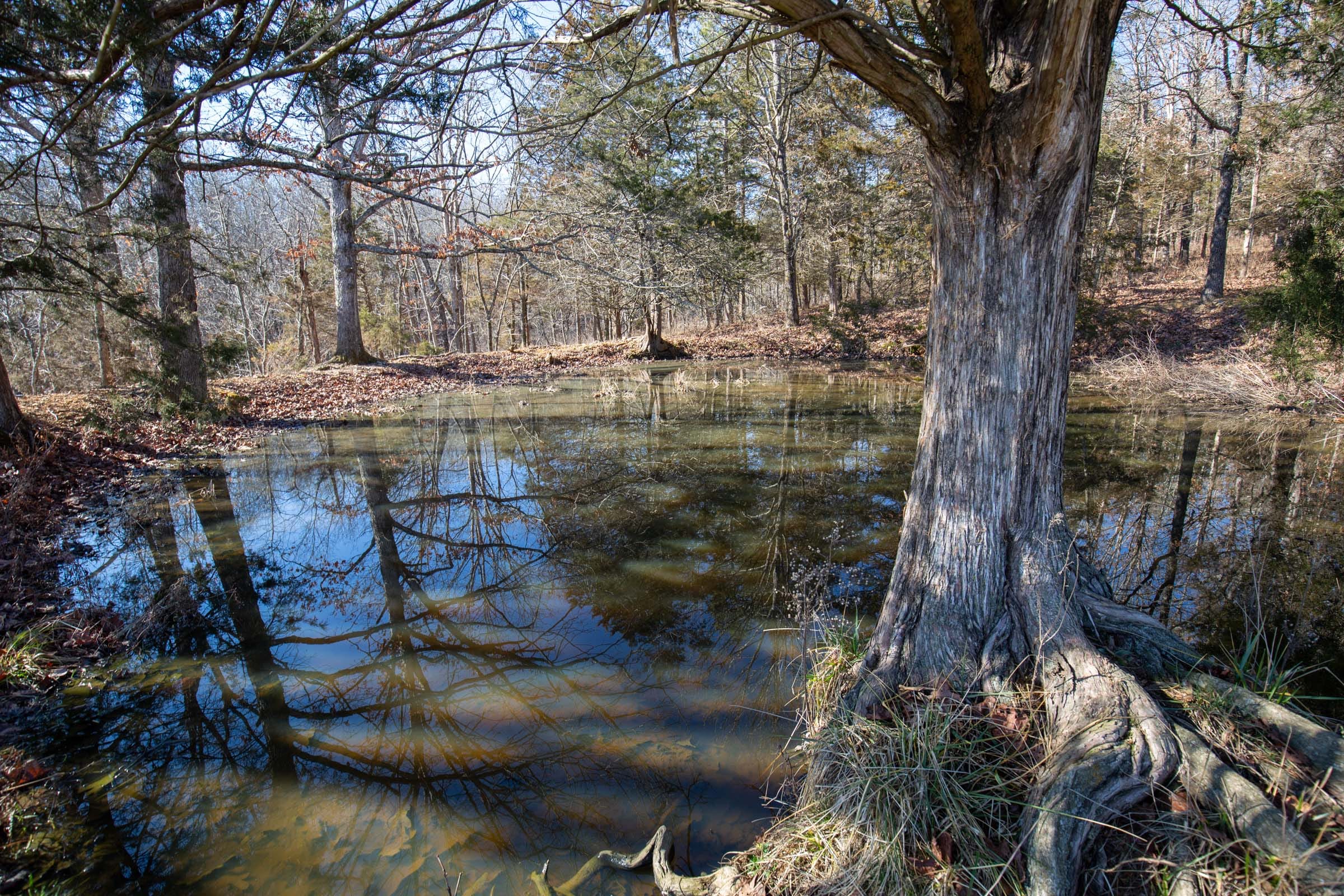 O’Connor Crossing Tract 7 photo 3