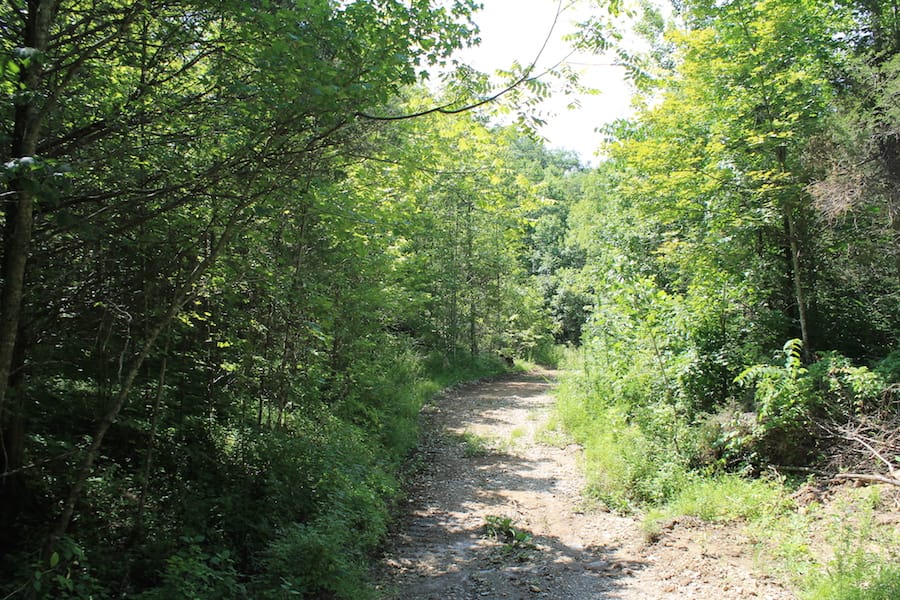 Cumberland Ridge Ranch Tract 3 photo 2