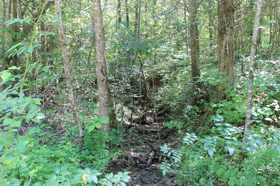 Cumberland Ridge Ranch Tract 3 photo 3