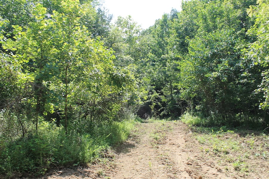 Cumberland Ridge Ranch Tract 3 photo 4