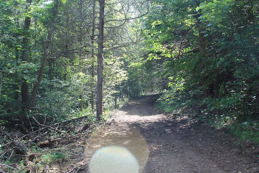 Cumberland Ridge Ranch Tract 3 photo 13