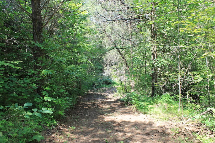 Cumberland Ridge Ranch Tract 3 photo 14