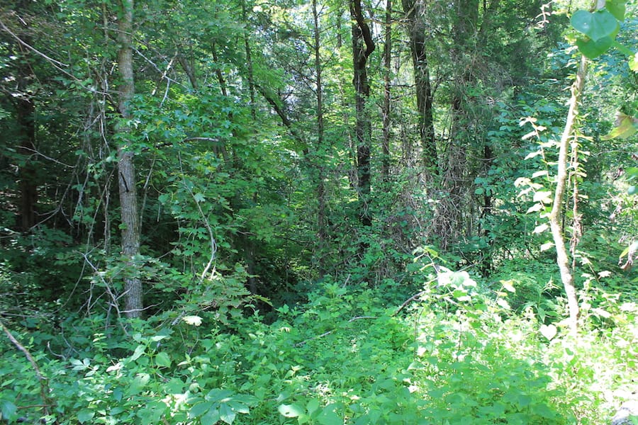 Cumberland Ridge Ranch Tract 3 photo 15