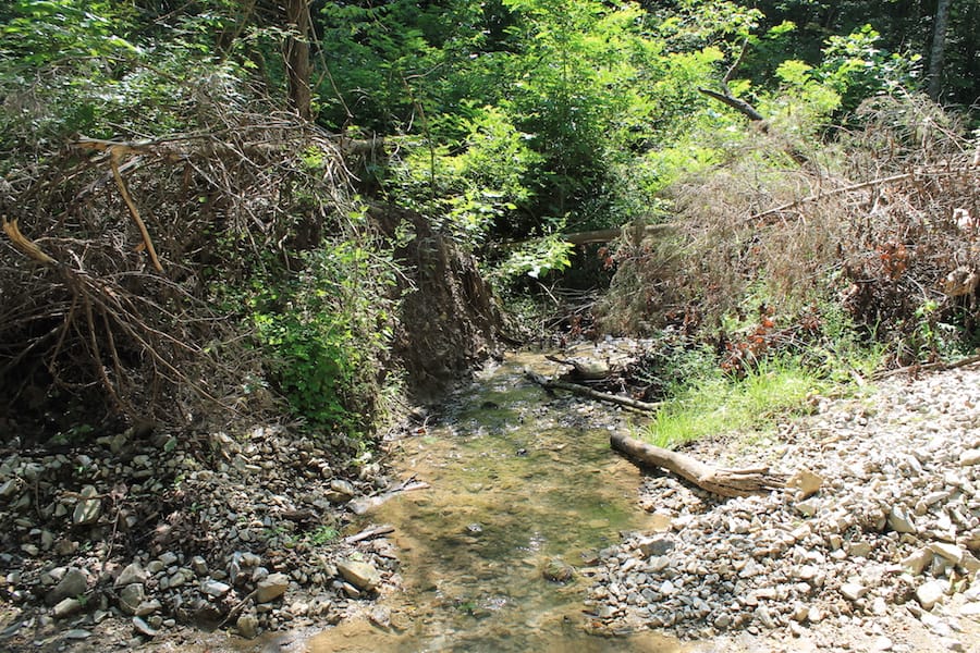 Cumberland Ridge Ranch Tract 3 photo 17