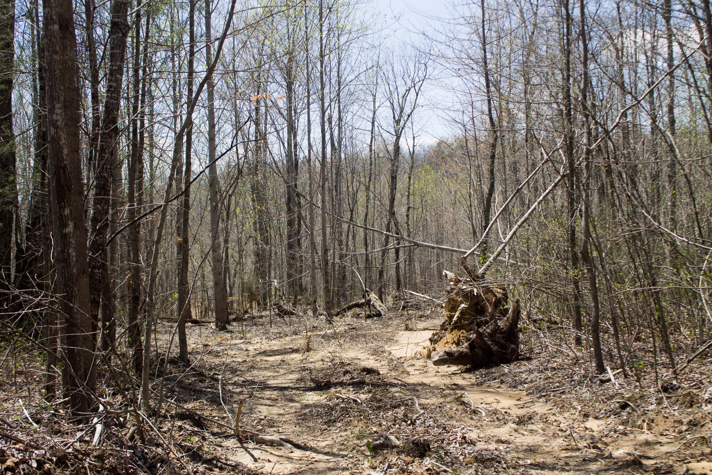 Hidden Hills Tract 2 photo 1