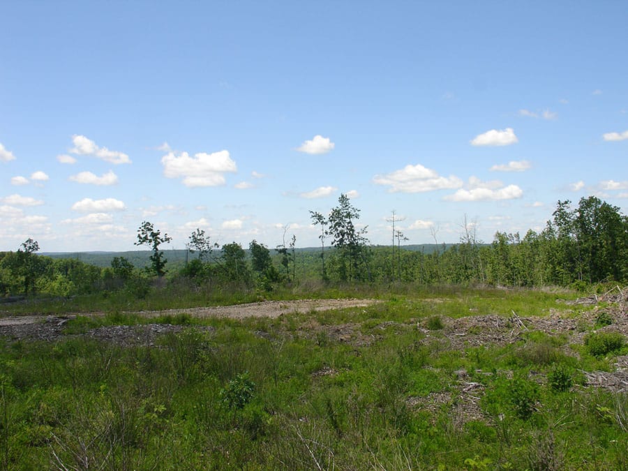Antler Ridge Tract 18 photo 4