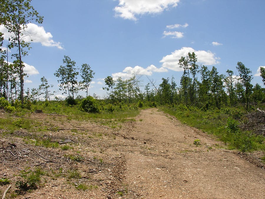 Antler Ridge Tract 18 photo 6