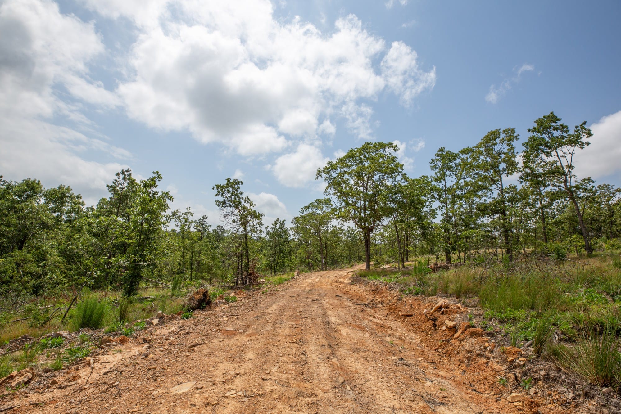 Eagle’s Nest Tract 29 photo 2