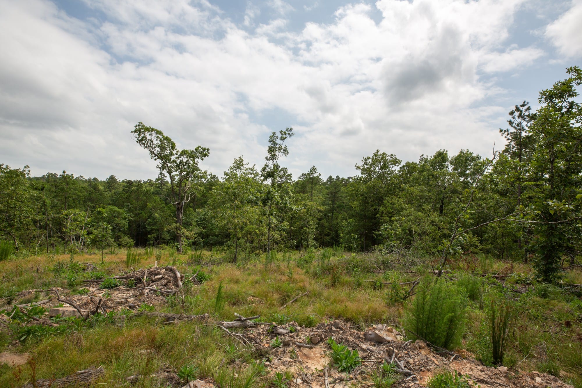 Eagle’s Nest Tract 29 photo 3