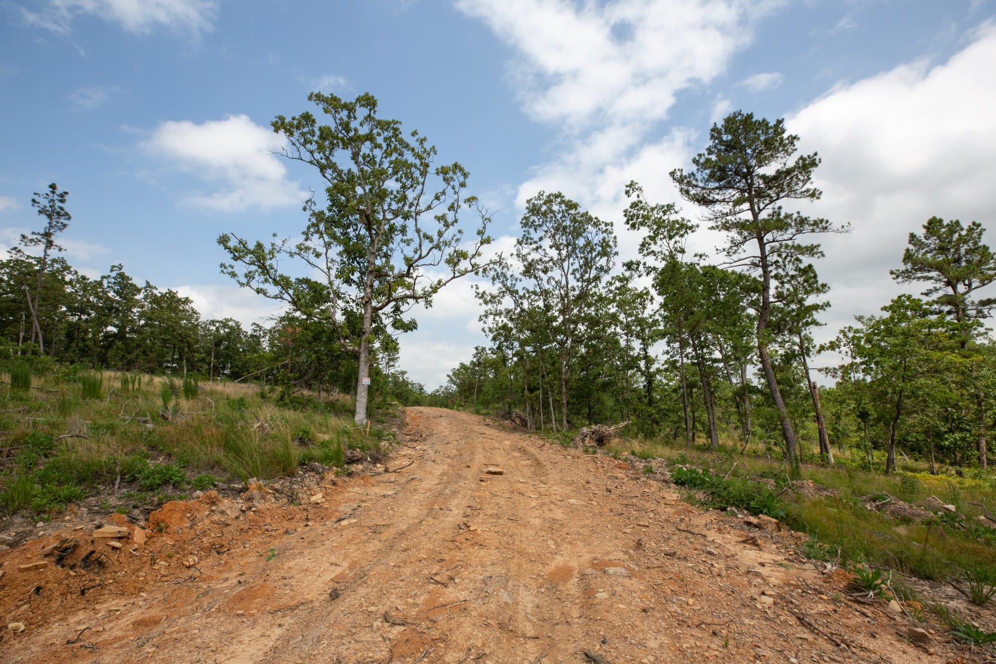 Eagle’s Nest Tract 29 photo 4