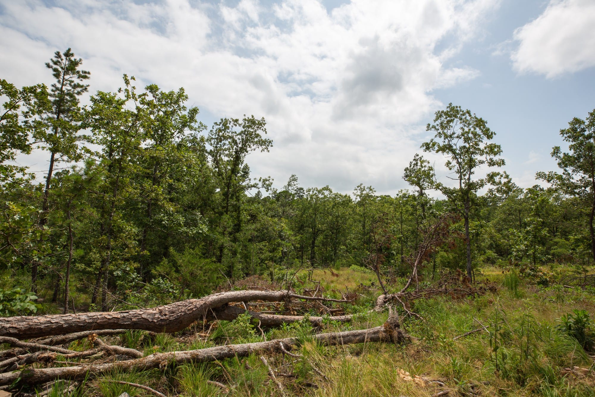 Eagle’s Nest Tract 29 photo 5