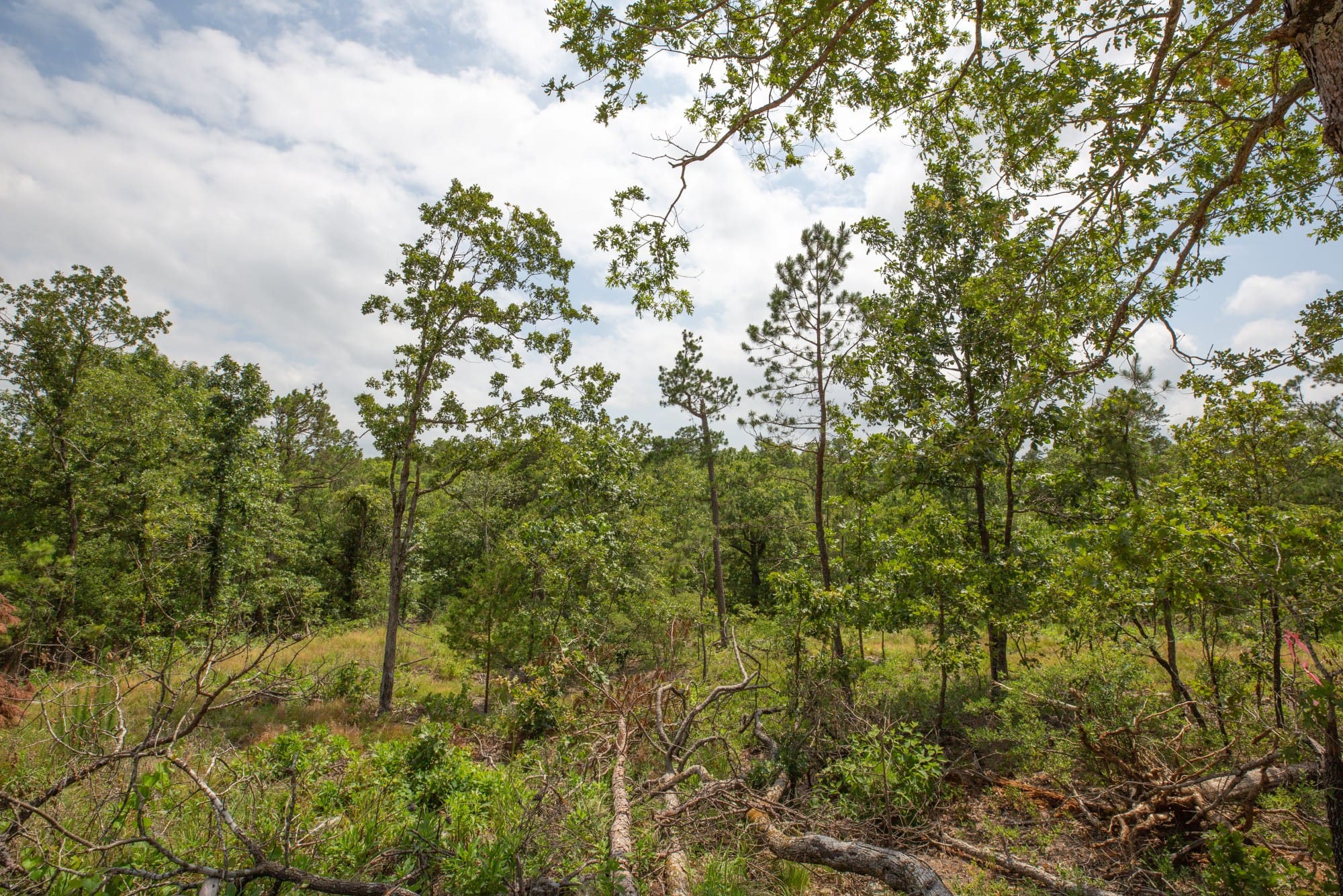 Eagle’s Nest Tract 29 photo 6