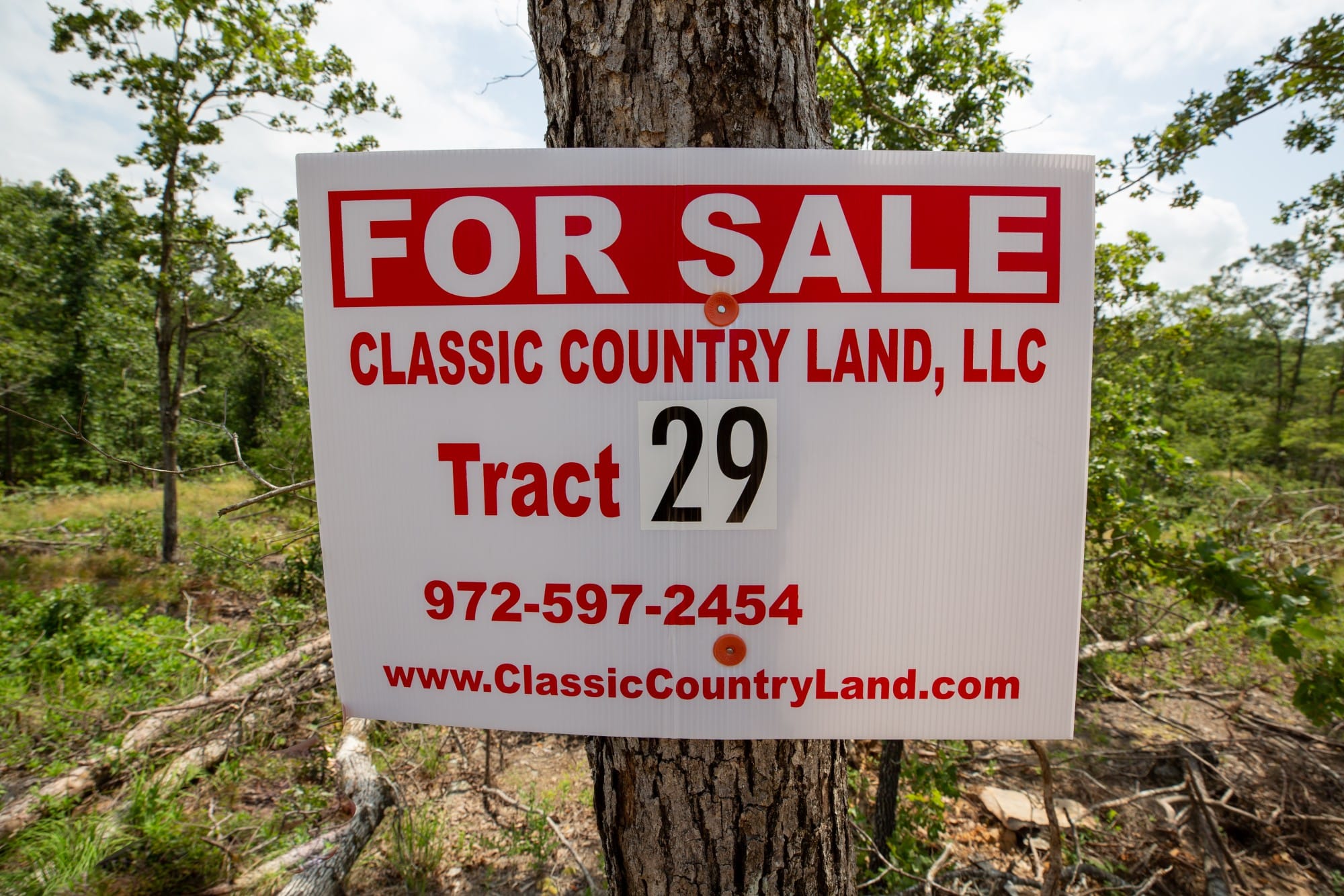 Eagle’s Nest Tract 29 photo 1