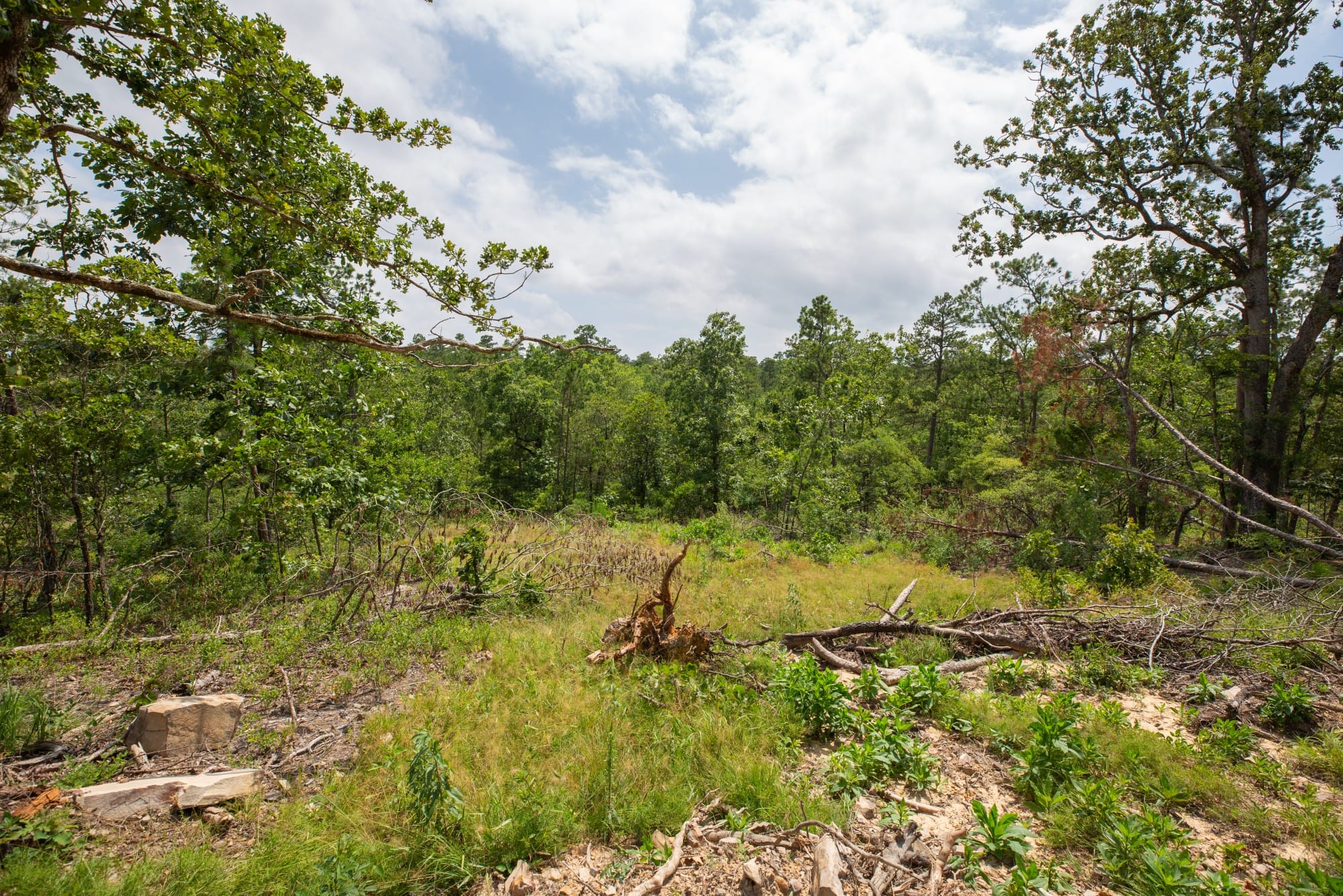 Eagle’s Nest Tract 29 photo 7