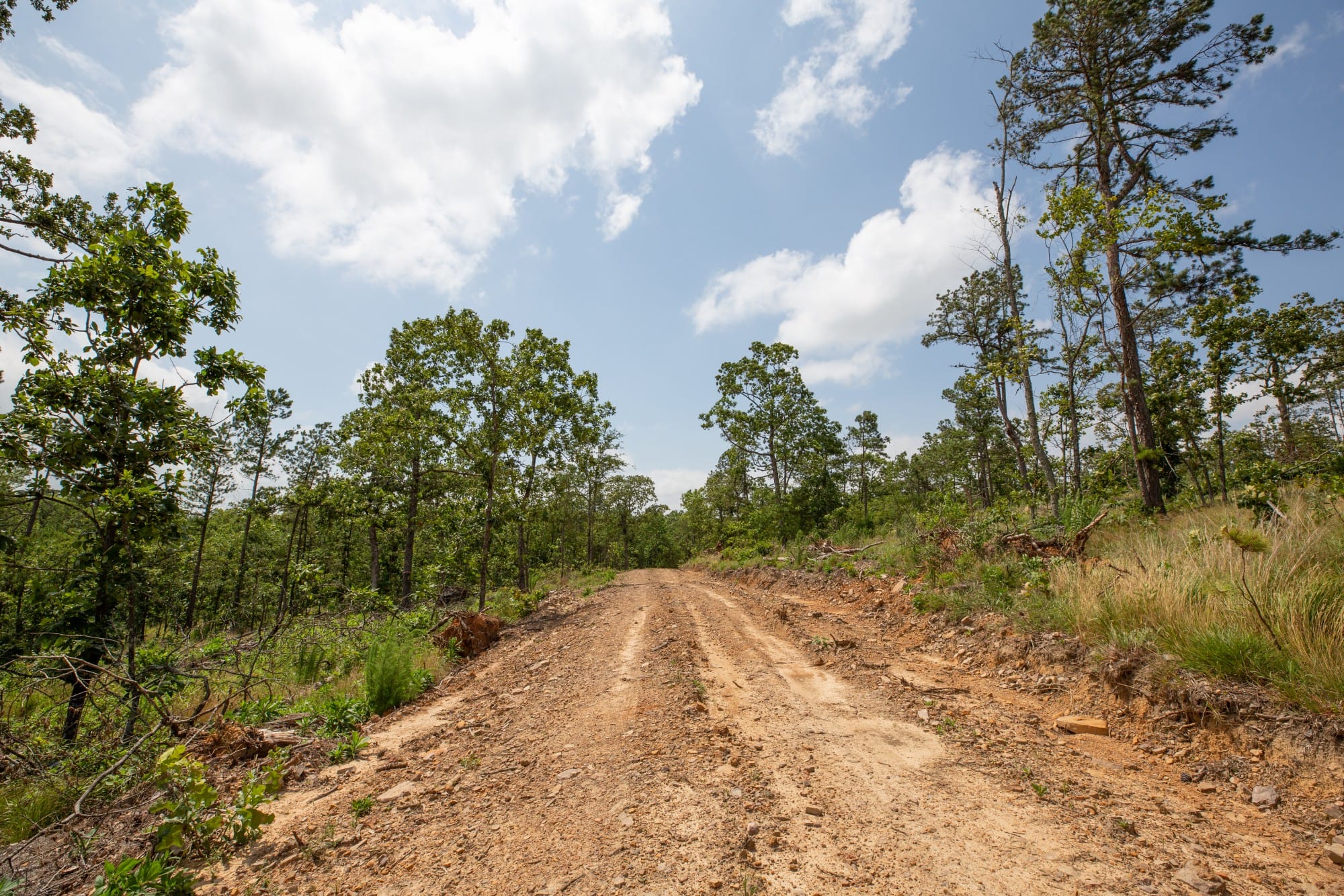 Eagle’s Nest Tract 29 photo 8