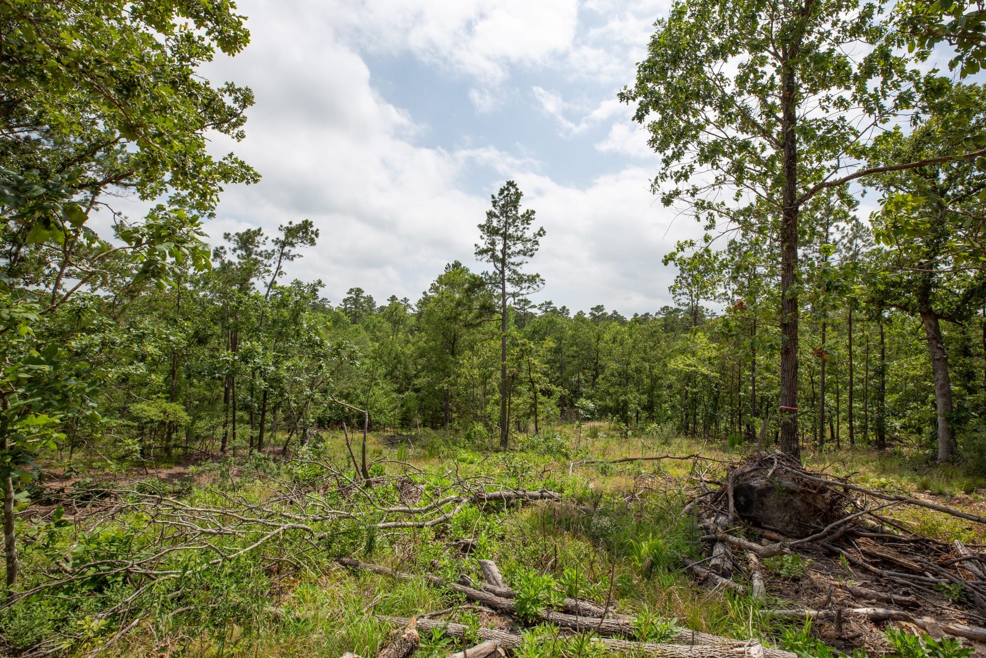 Eagle’s Nest Tract 29 photo 9