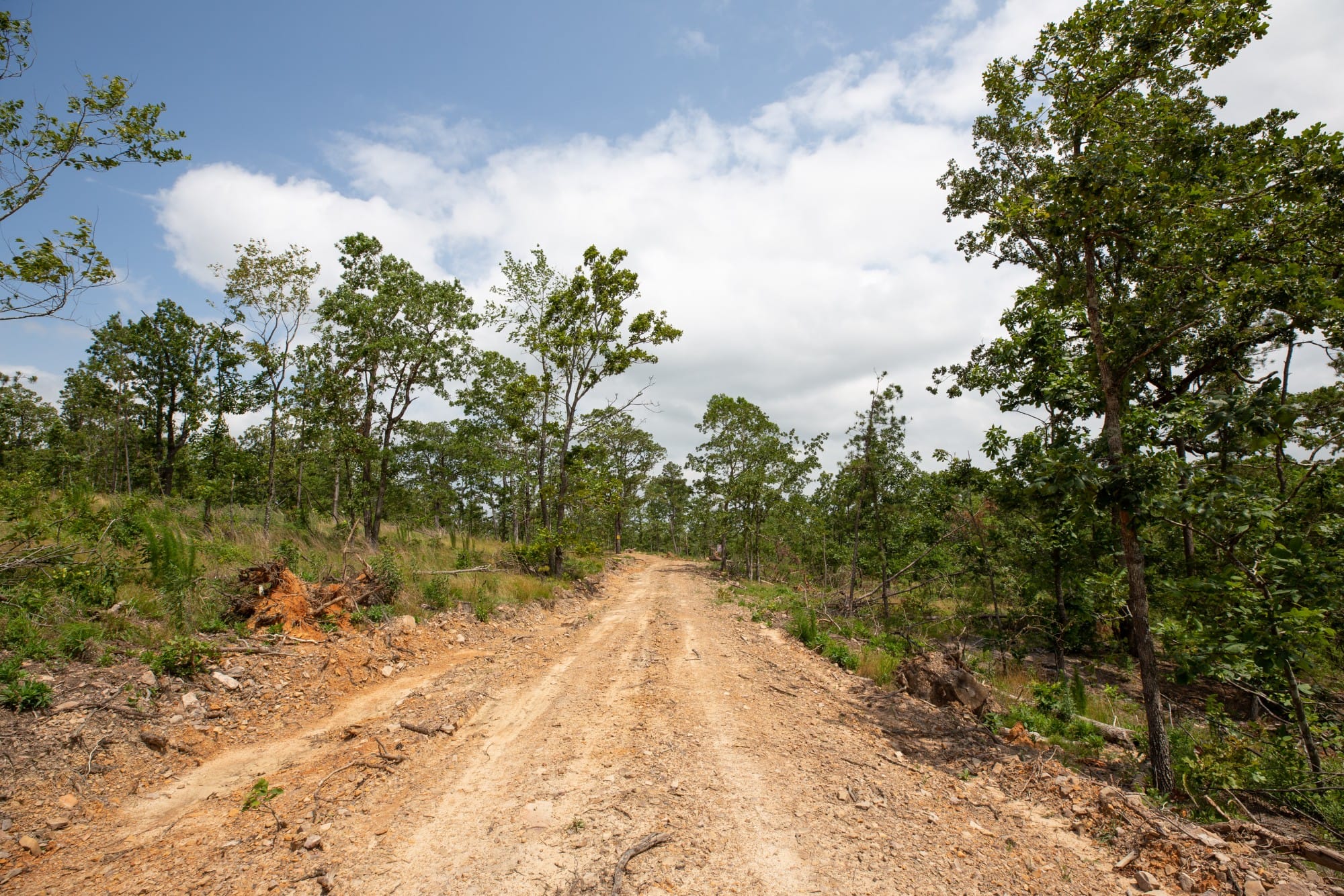 Eagle’s Nest Tract 29 photo 10