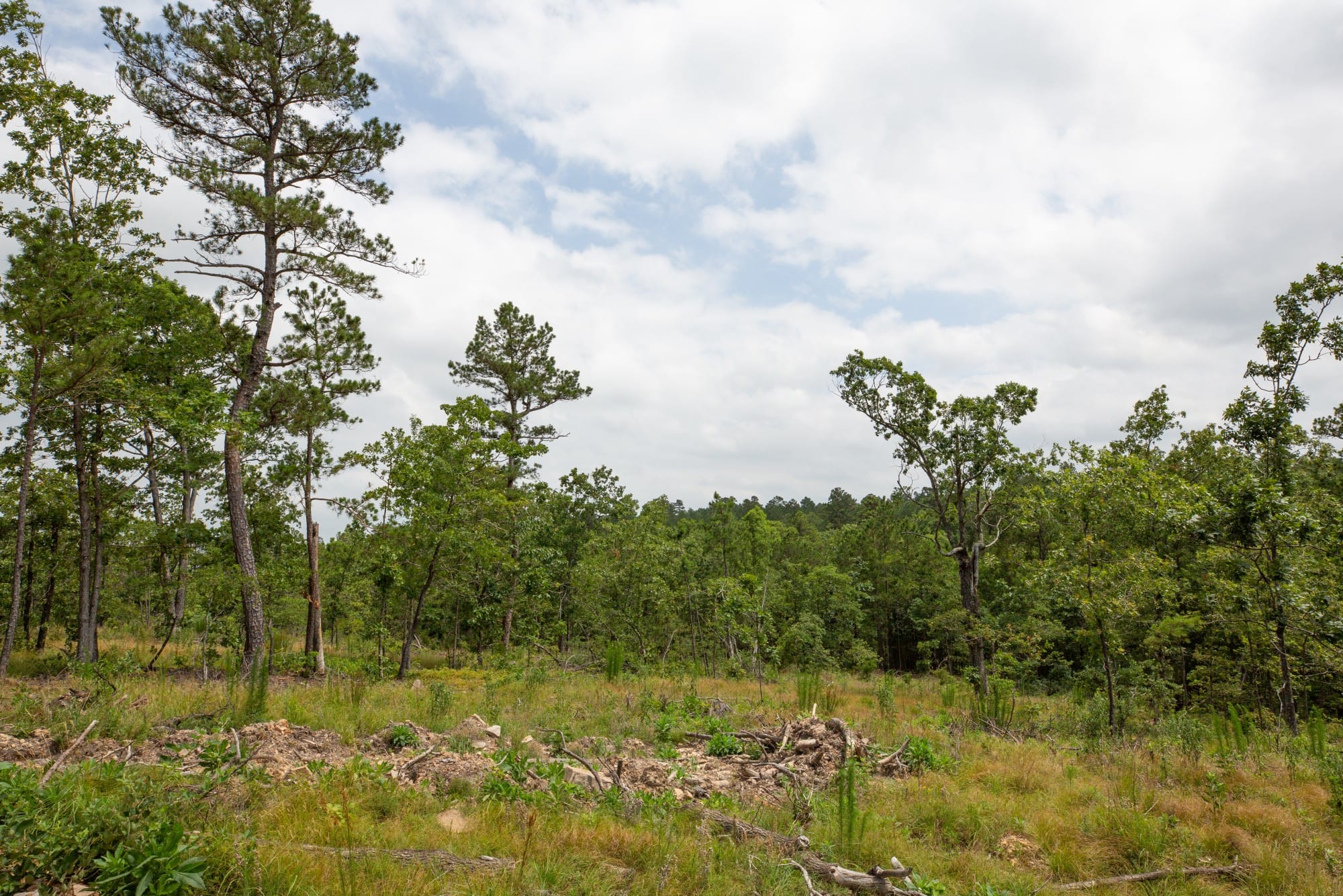 Eagle’s Nest Tract 29 photo 12