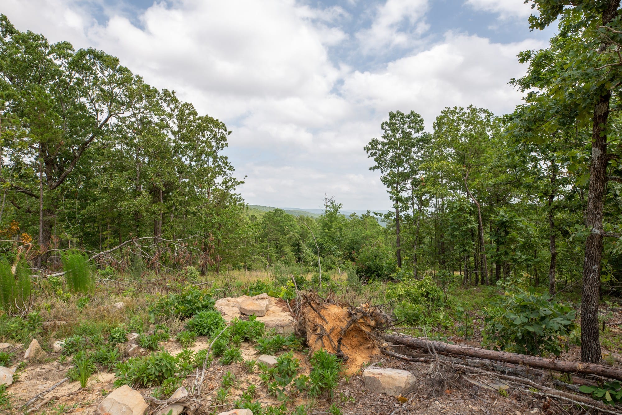 Eagle’s Nest Tract 29 photo 13