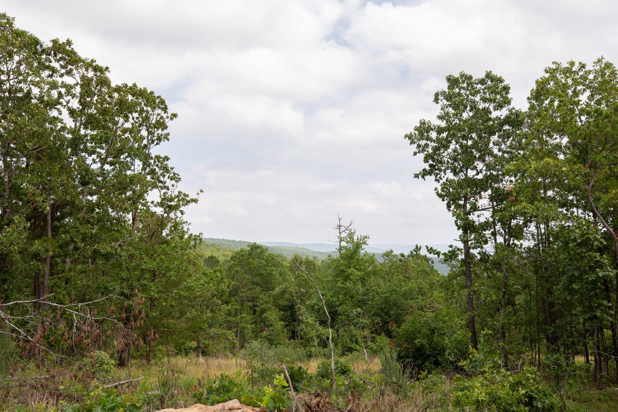 Eagle’s Nest Tract 29 photo 14