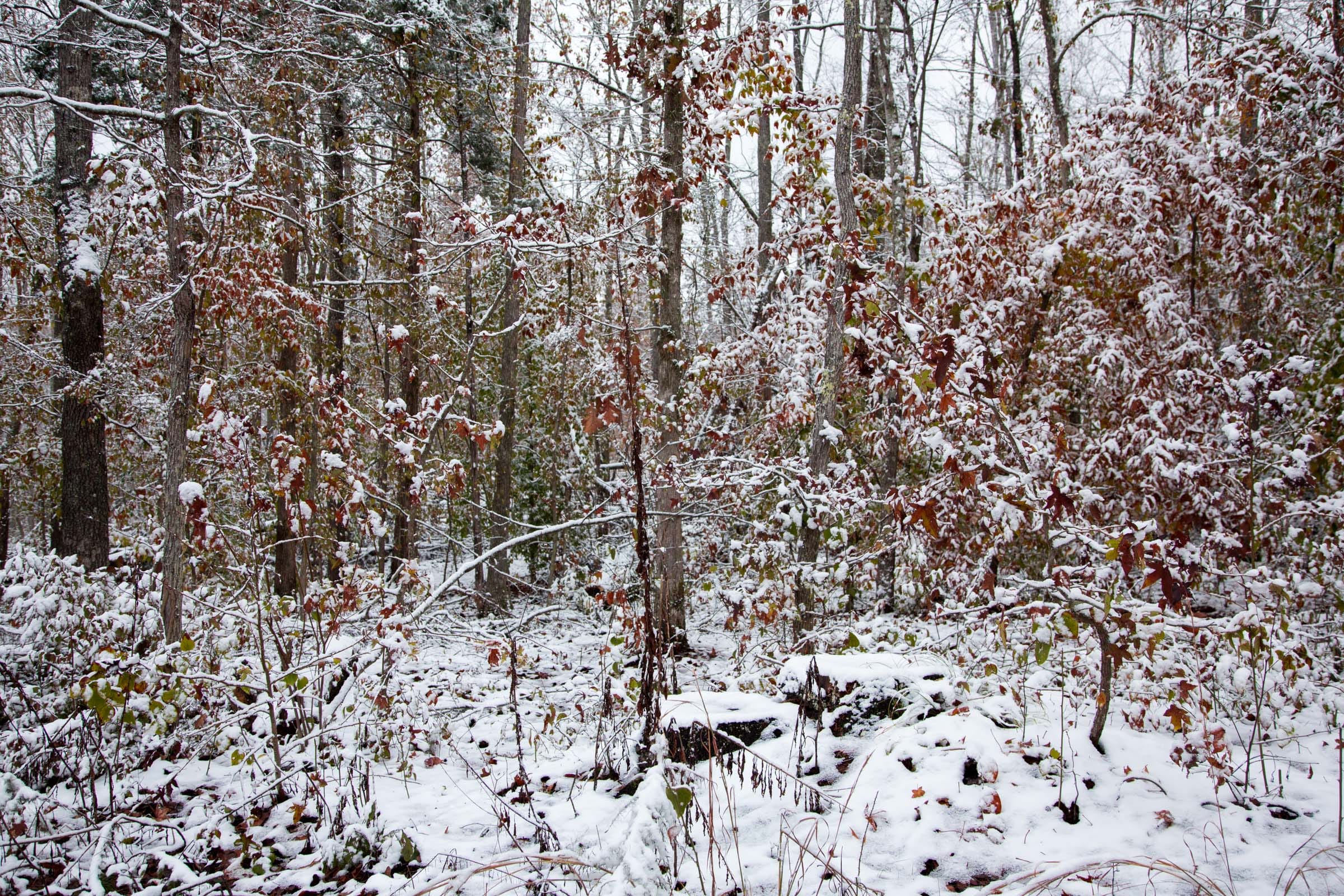 Sweet Water Ranch Tract 12 photo 2