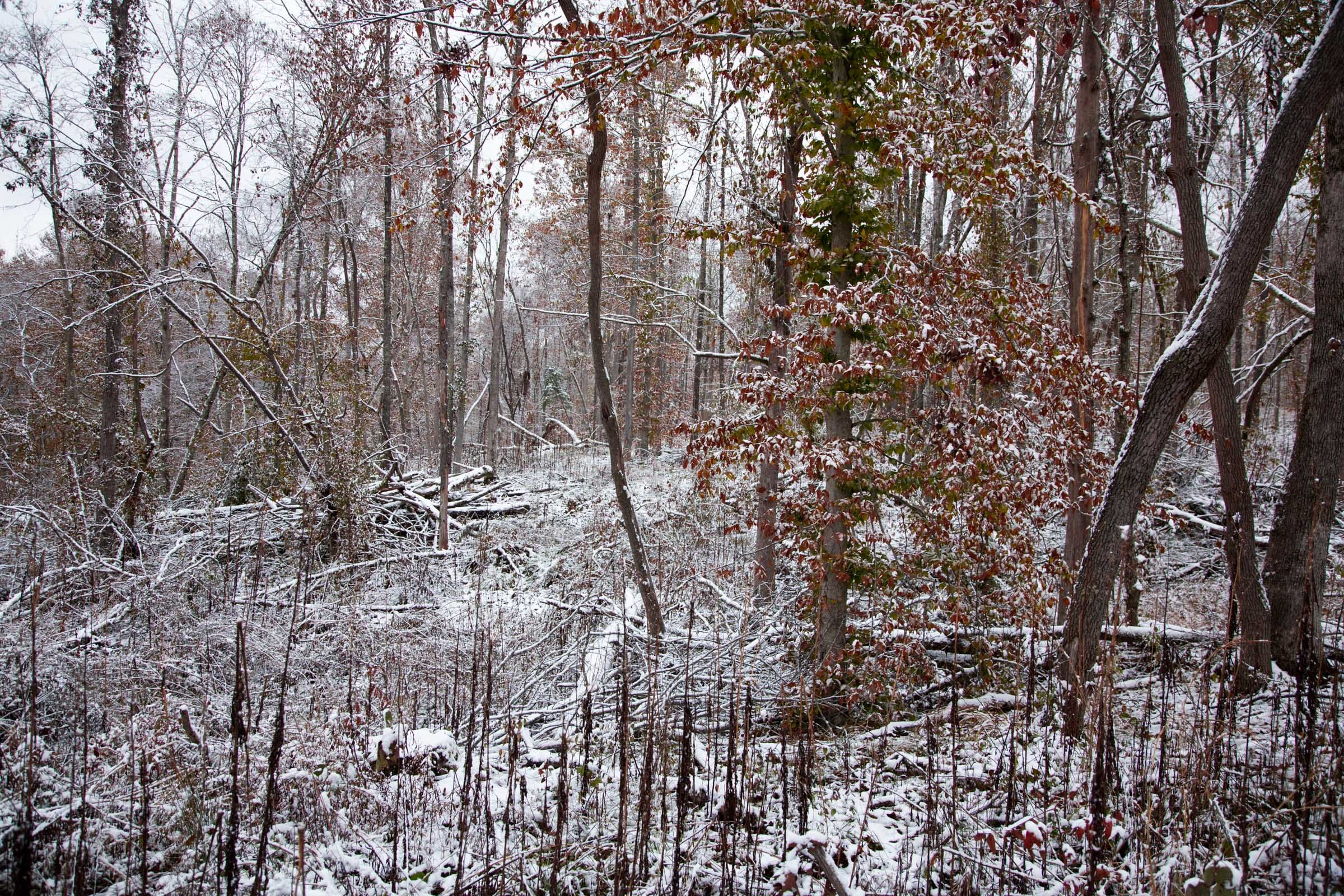 Sweet Water Ranch Tract 12 photo 8