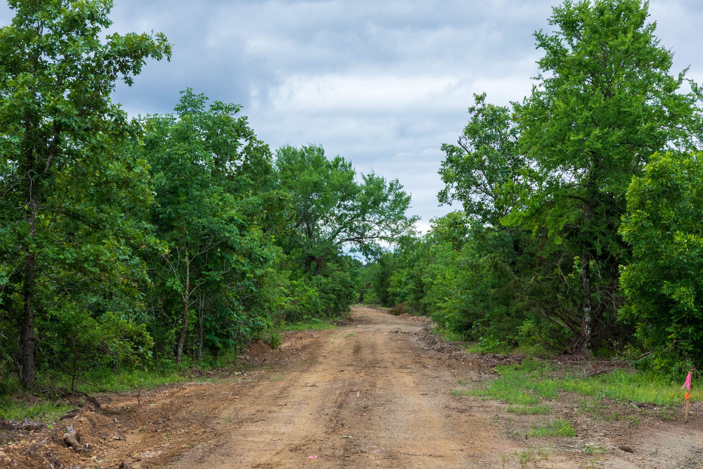 Falcon Crest Tract 14 photo 4