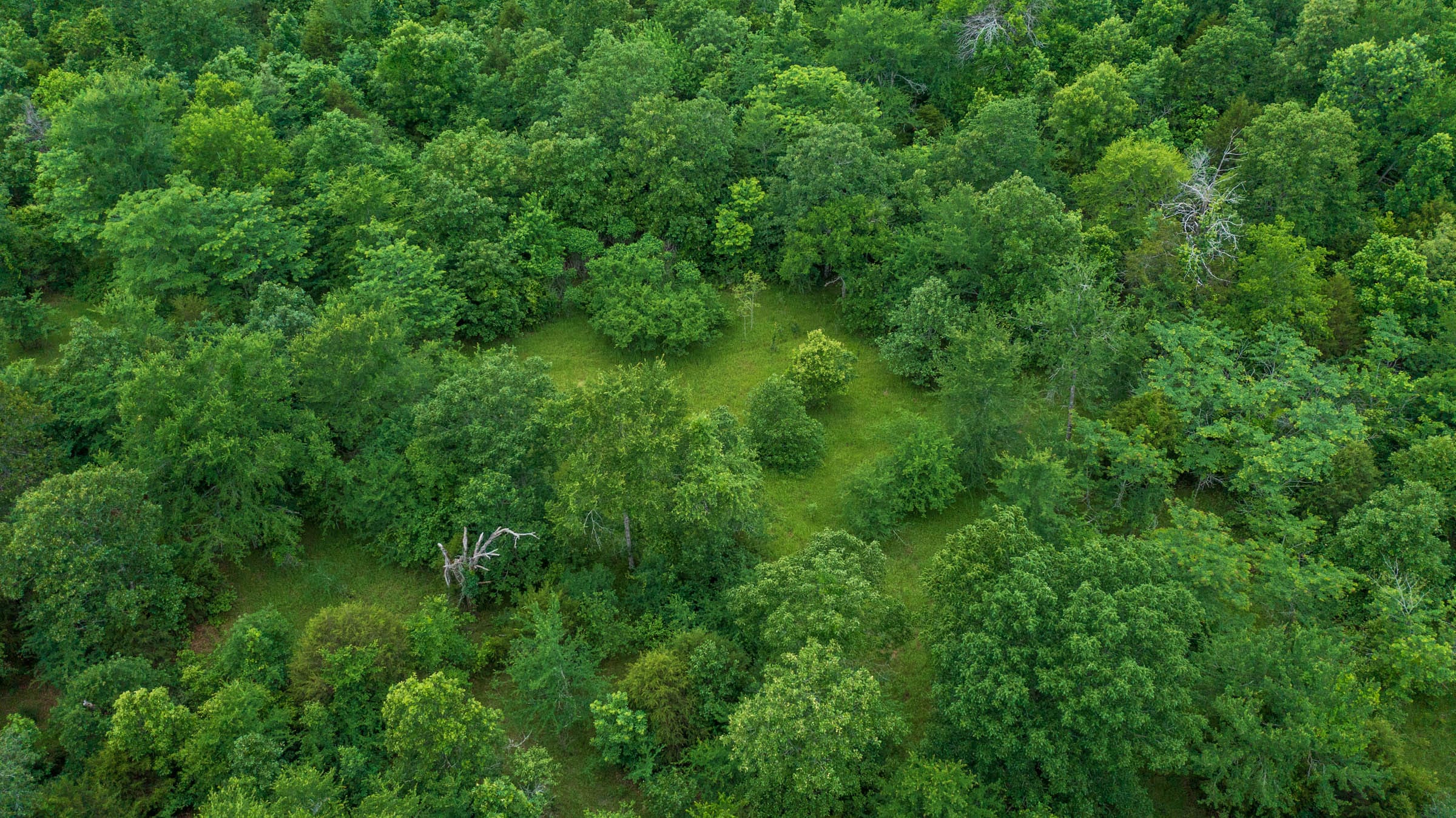 Falcon Crest Tract 14 photo 11