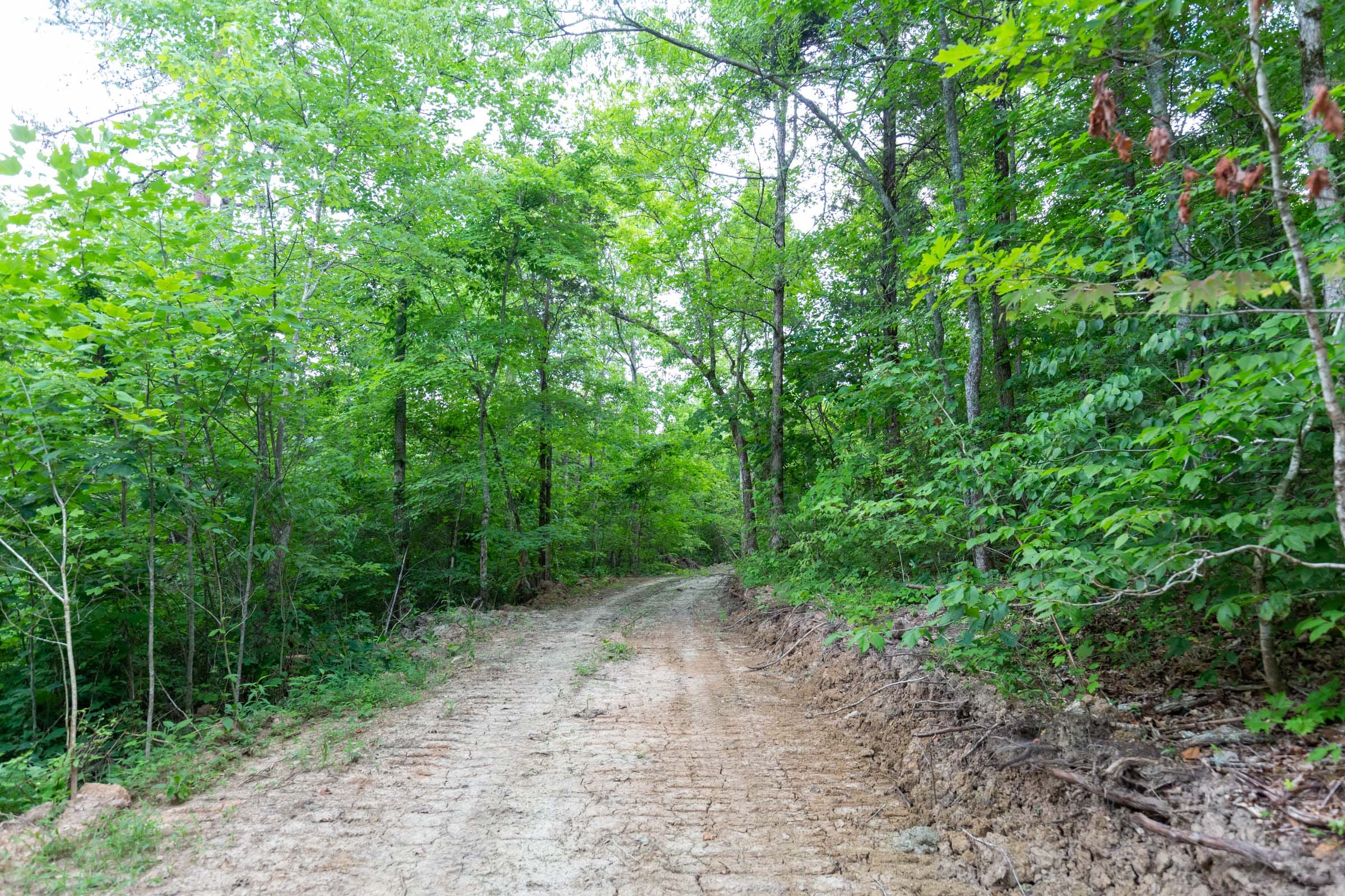 Tucker Hollow Tract 10 photo 2