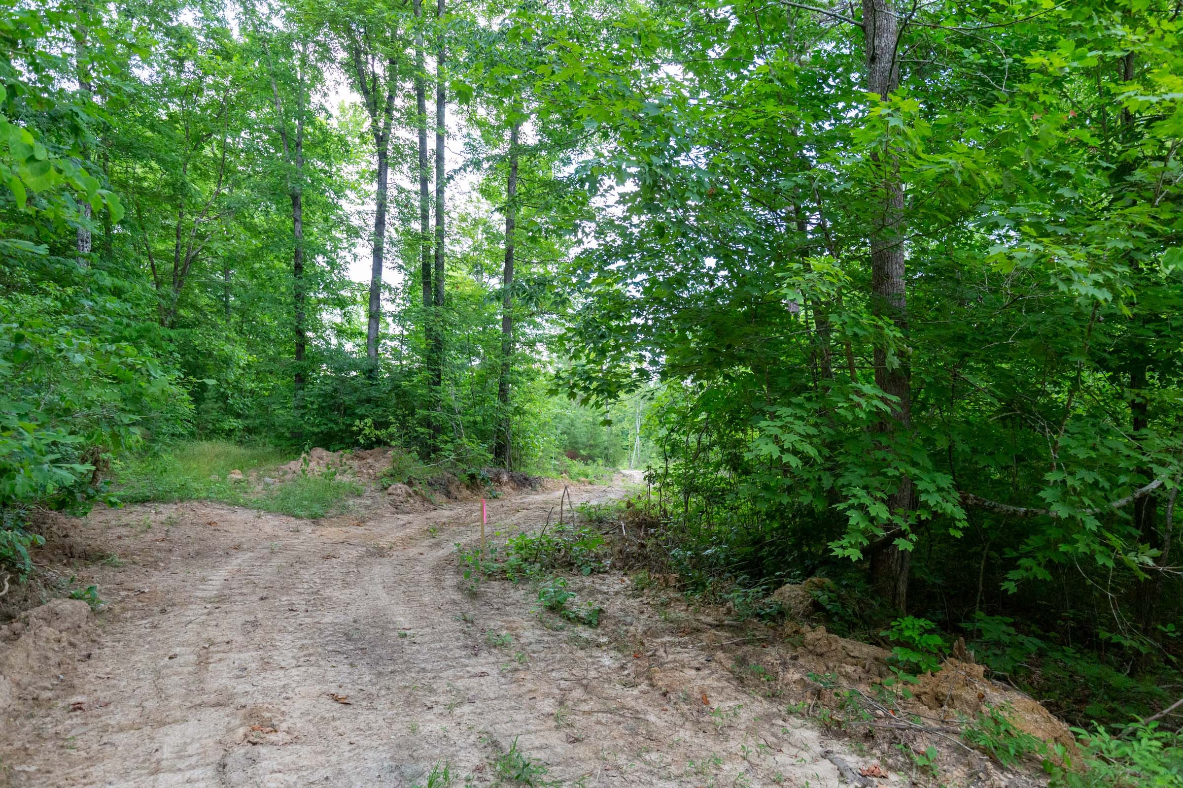 Tucker Hollow Tract 10 photo 10