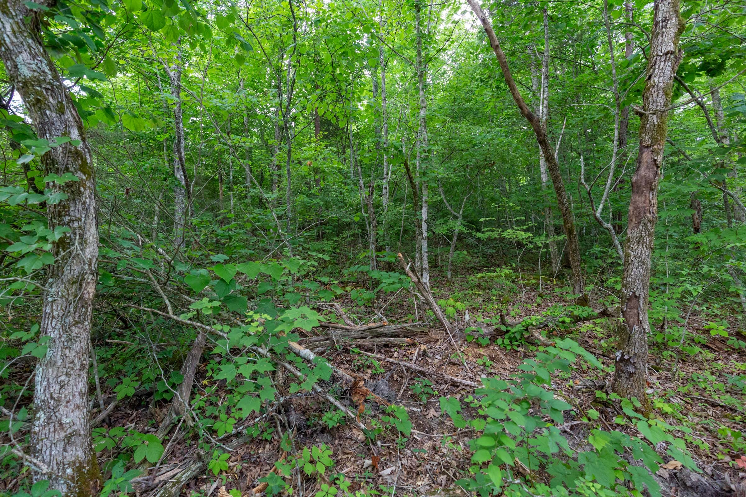 Tucker Hollow Tract 10 photo 1
