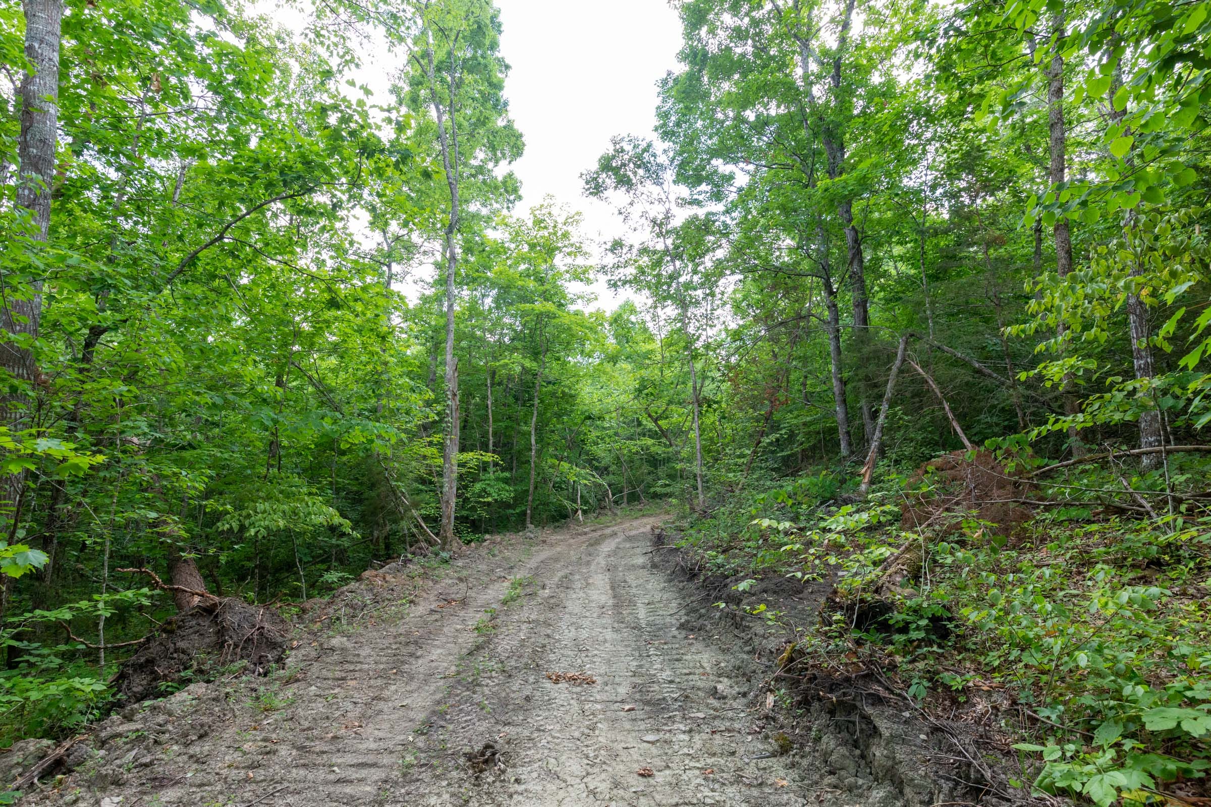 Tucker Hollow Tract 10 photo 5
