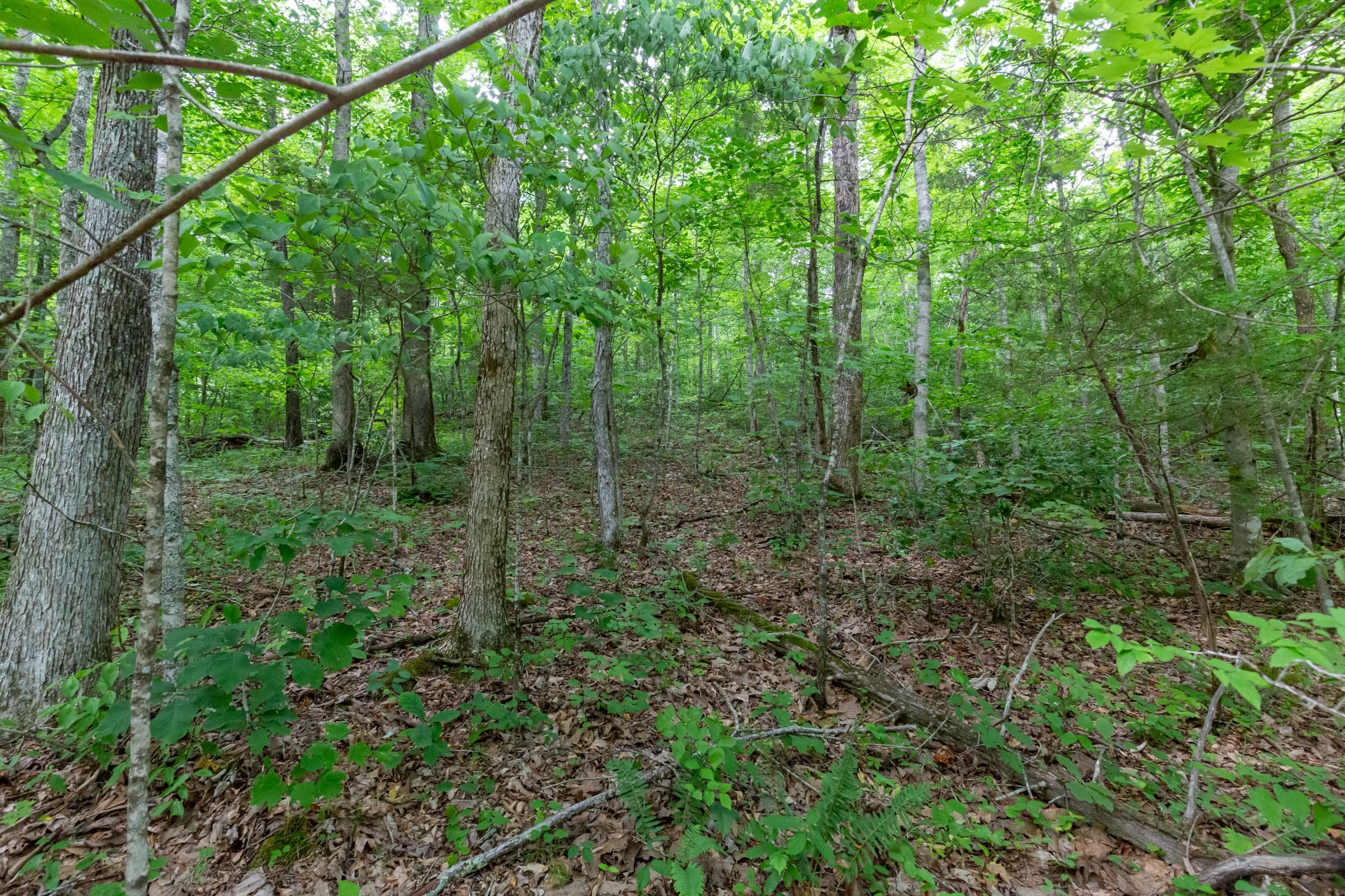 Tucker Hollow Tract 10 photo 12
