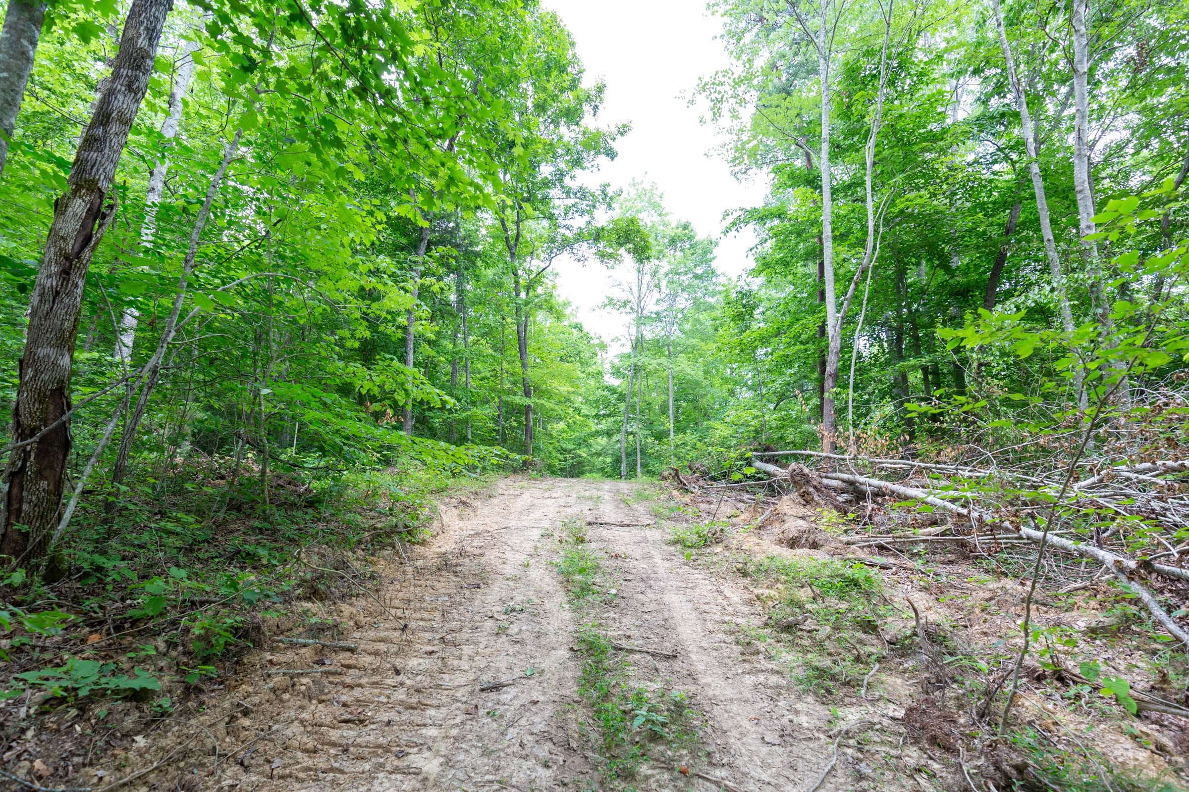 Tucker Hollow Tract 10 photo 7