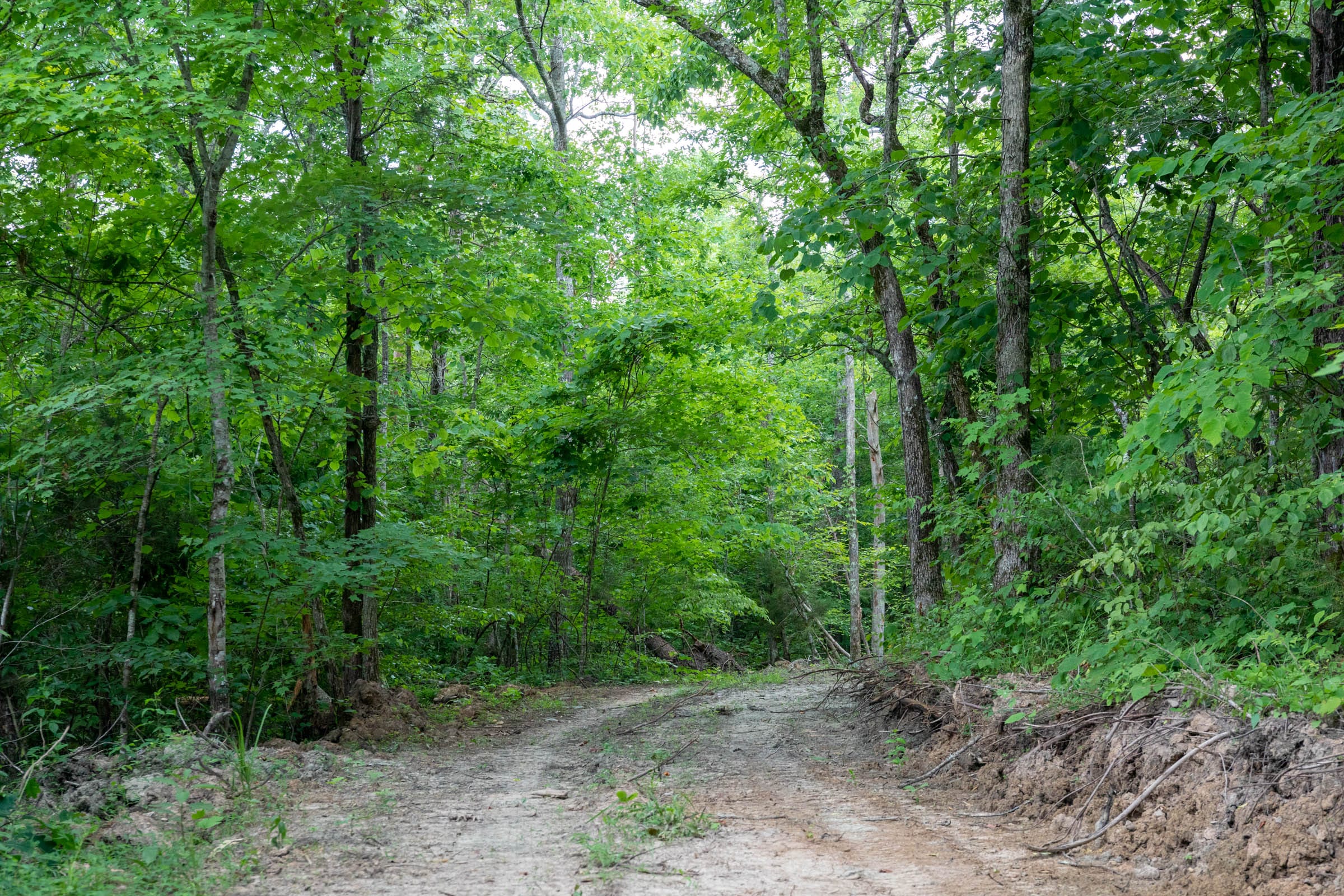 Tucker Hollow Tract 10 photo 16