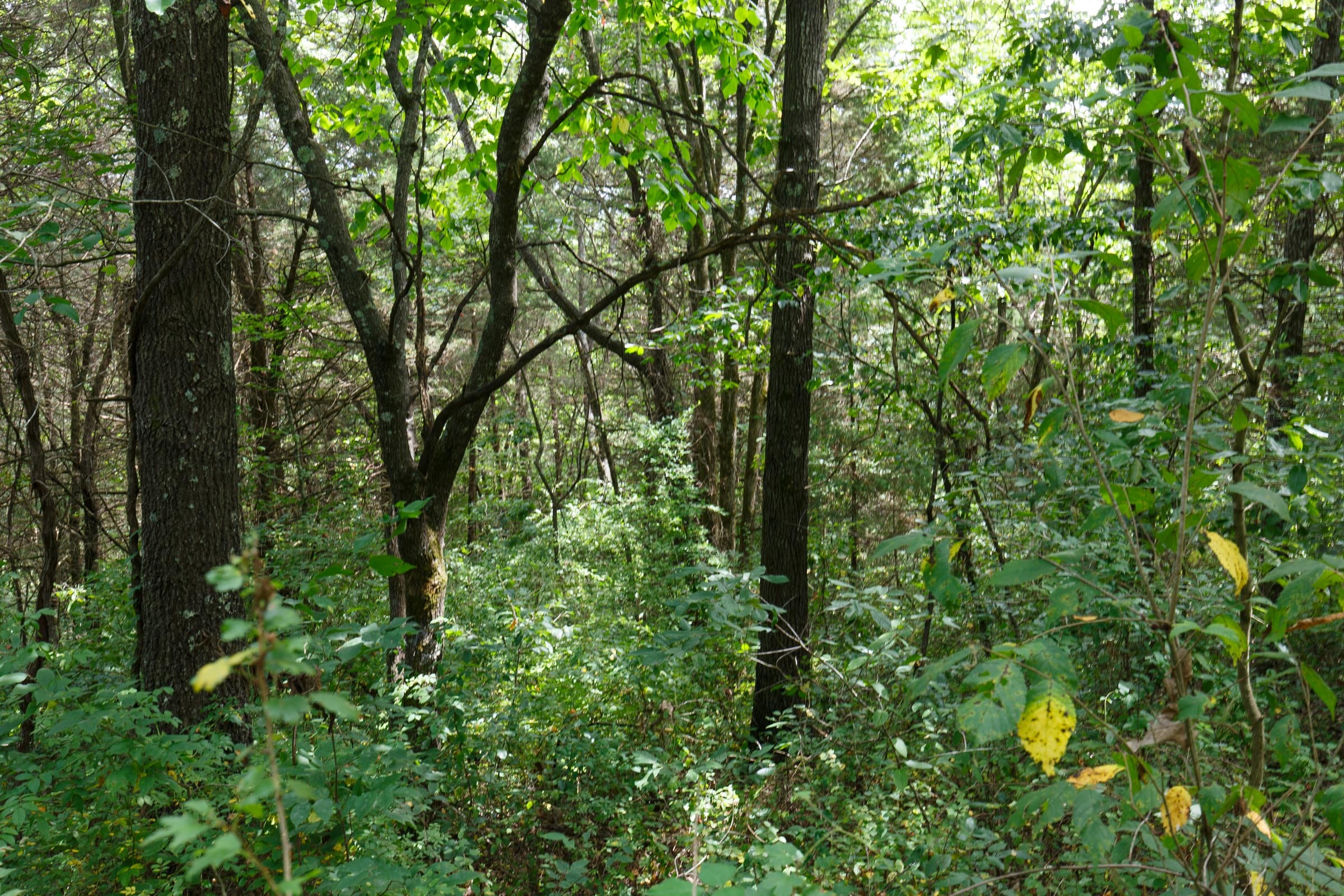 Spring Lake Plat 1 Tract 30 photo 3