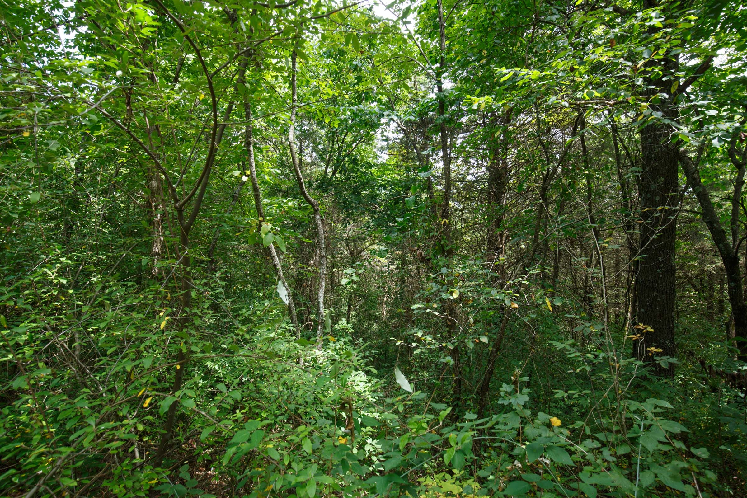 Spring Lake Plat 1 Tract 30 photo 2