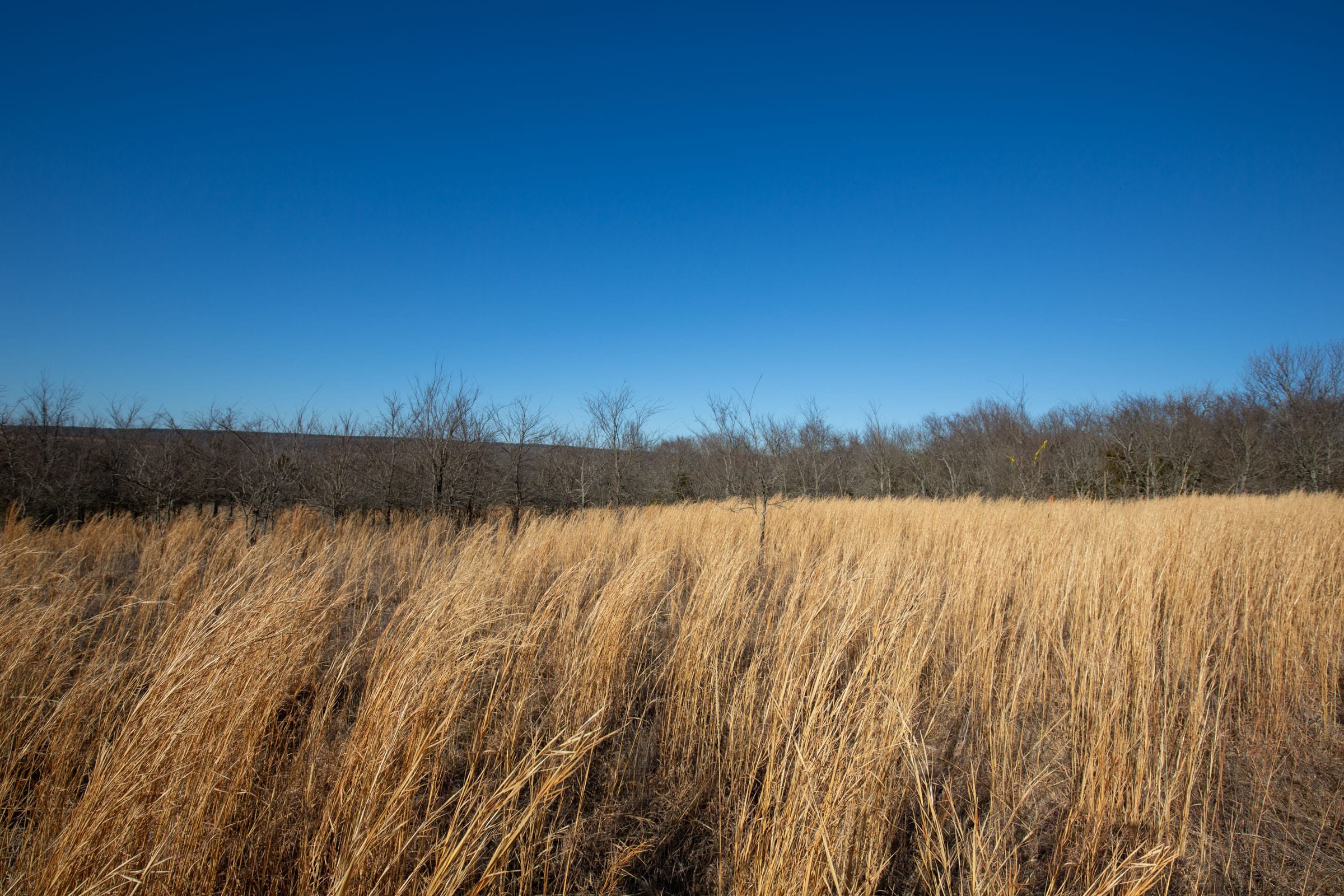 Painted Horse Tract 56 photo 3