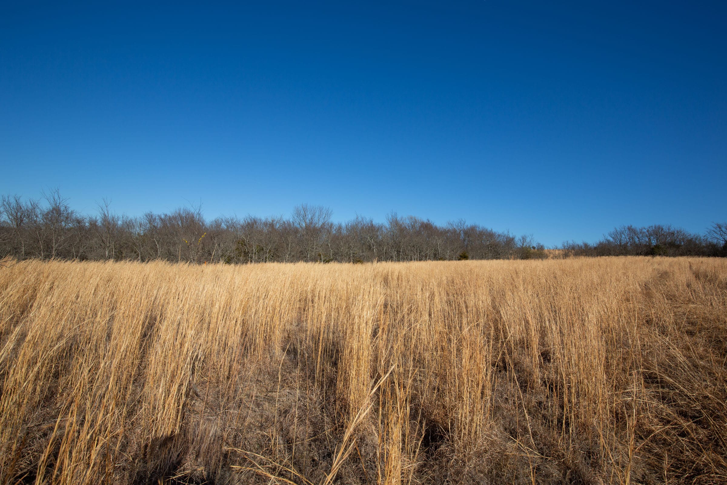 Painted Horse Tract 56 photo 4