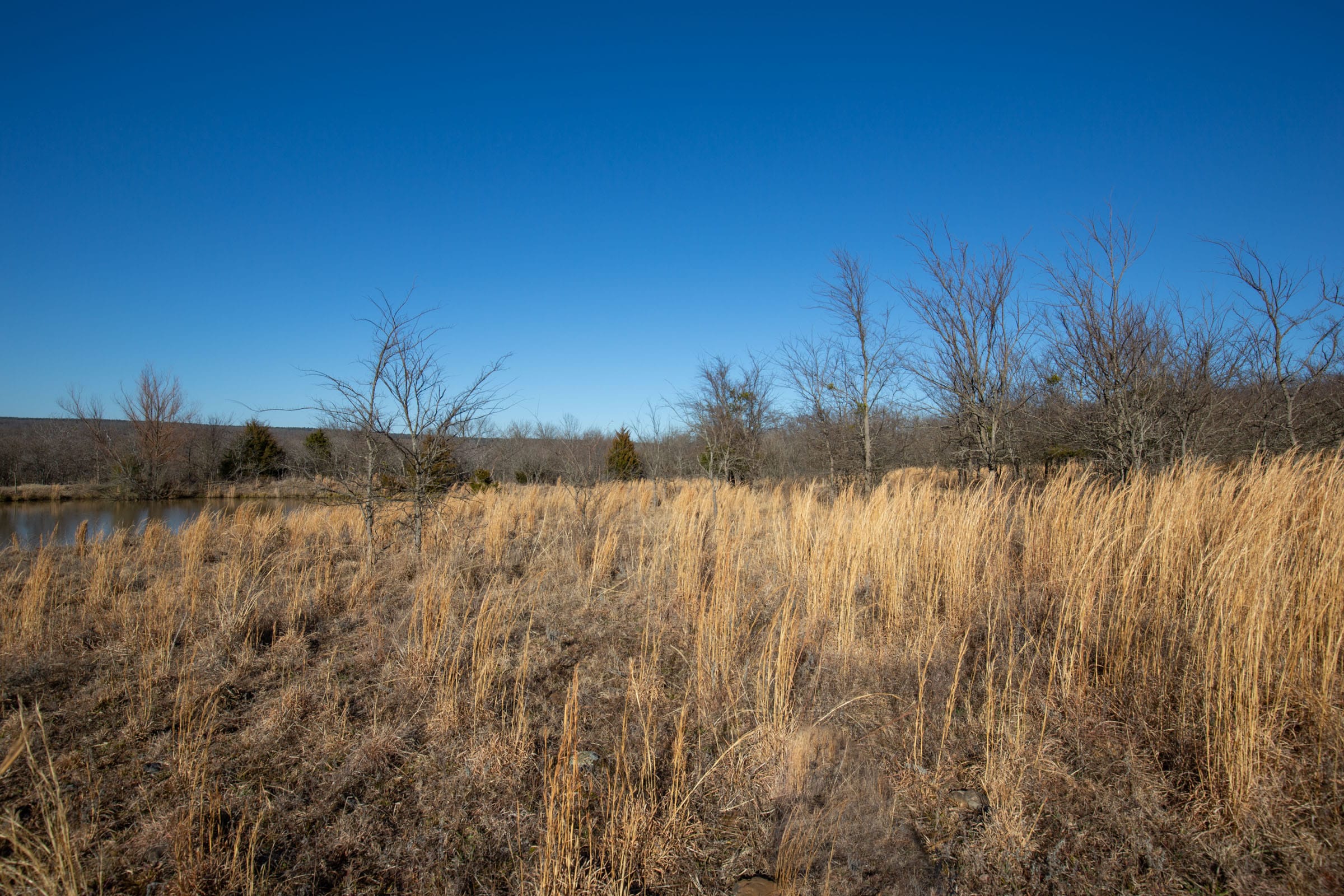Painted Horse Tract 56 photo 5