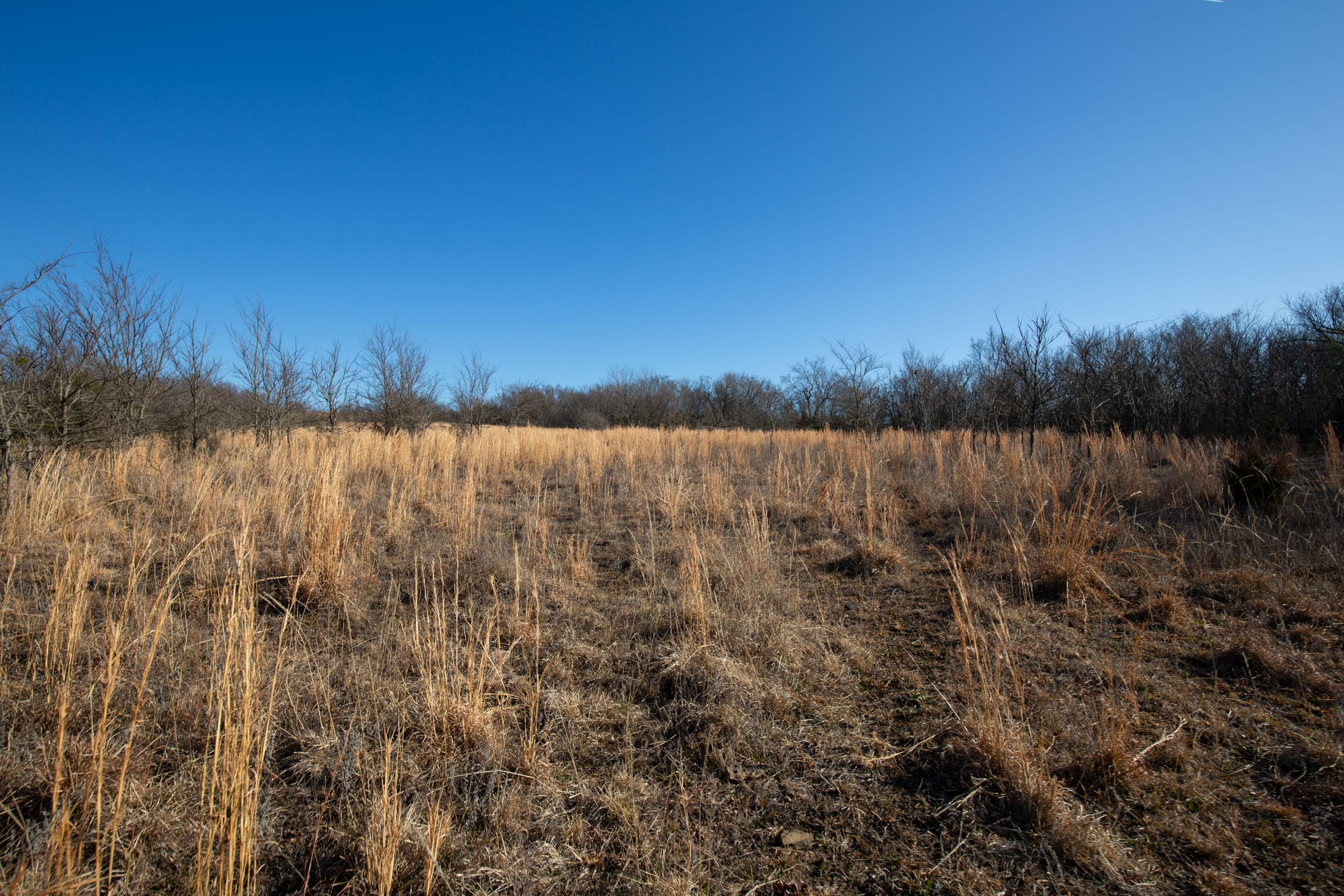 Painted Horse Tract 56 photo 10