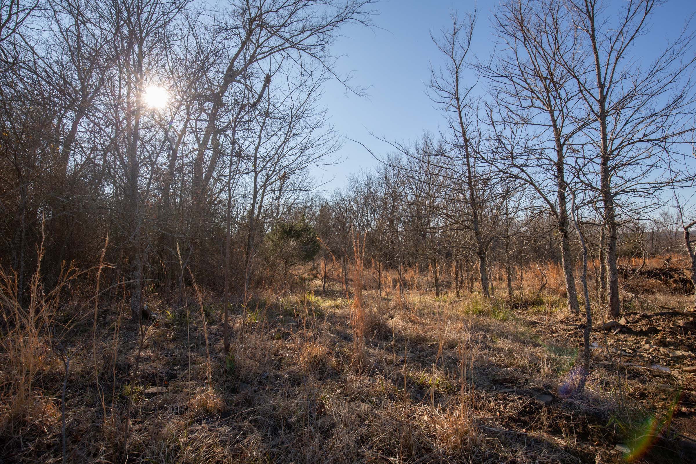 Painted Horse Tract 56 photo 13