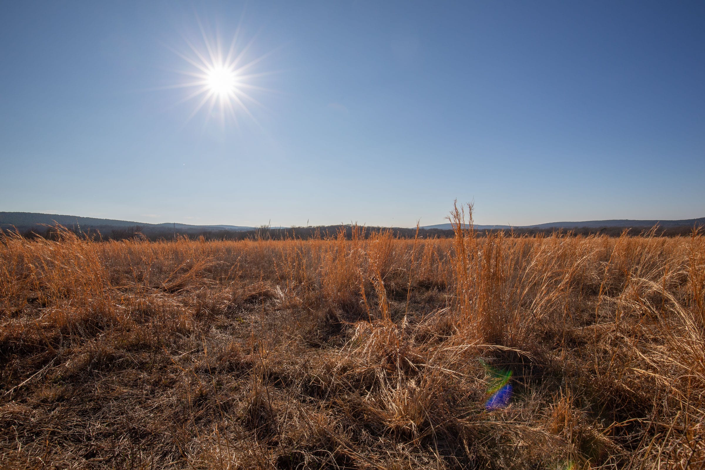 Painted Horse Tract 56 photo 14